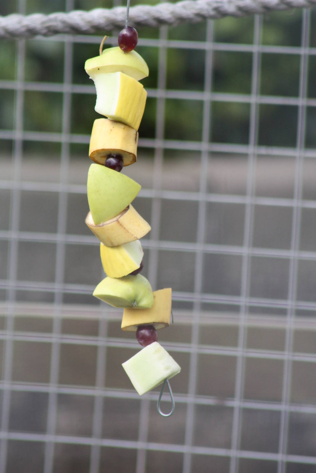 Results of the kebab making event, 24th August 2014