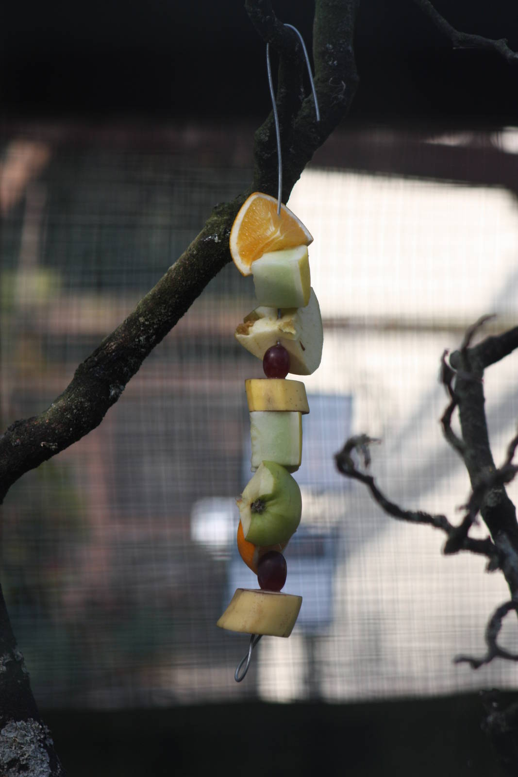 Results of the kebab making event, 24th August 2014