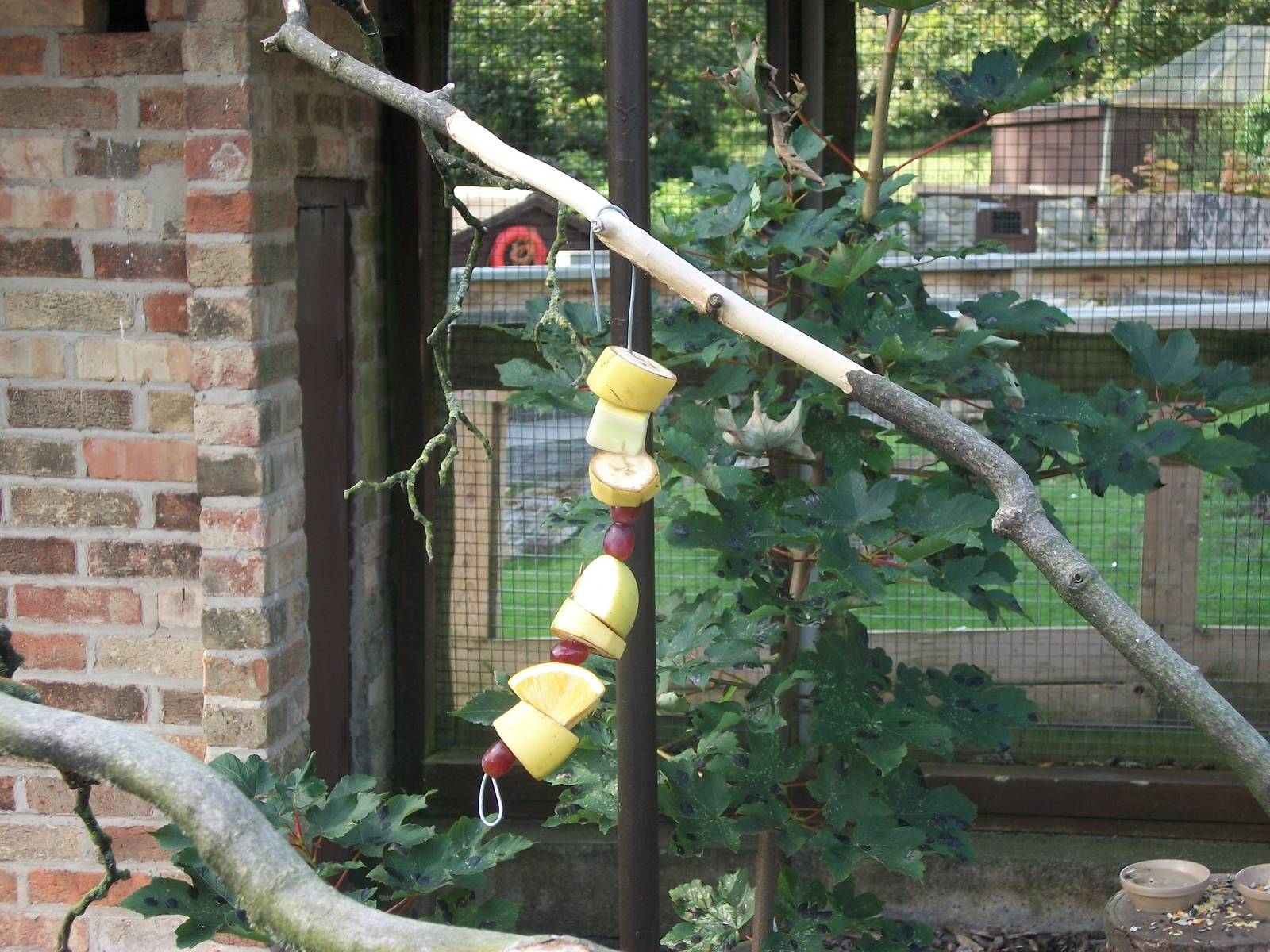 Results of the kebab making event, 24th August 2014