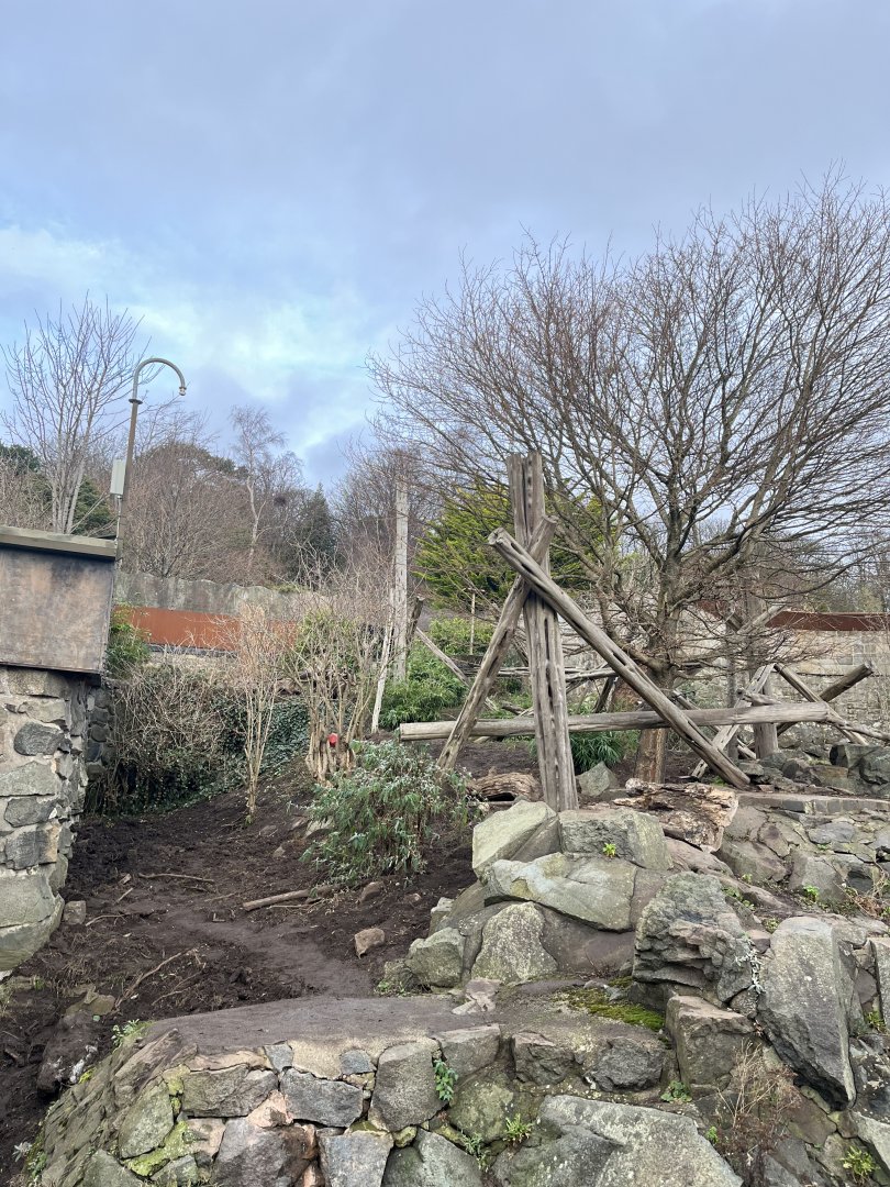 Resurfaced sun bear enclosure 27.12.24