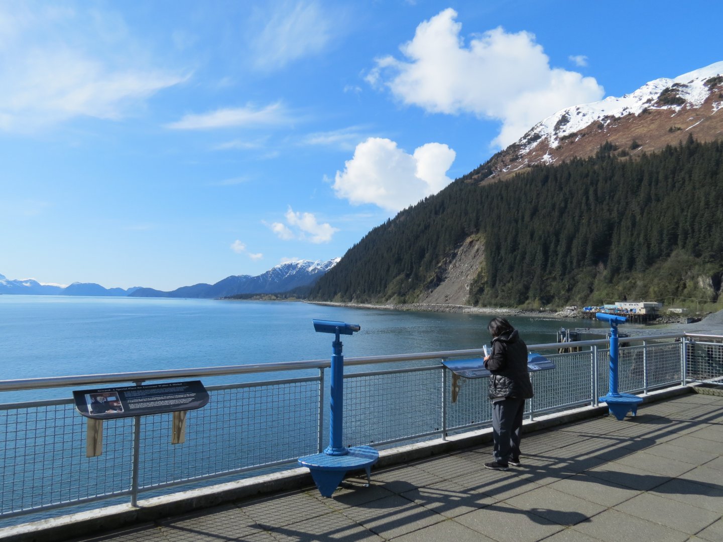 Resurrection Bay Overlook