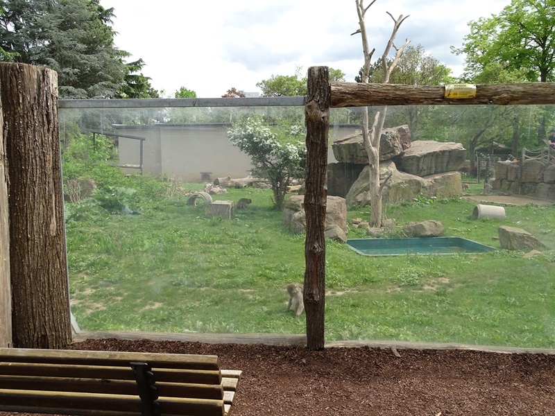 Resus monkey enclosure