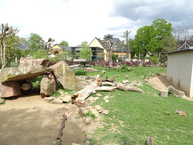 Resus monkey enclosure