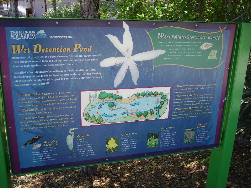 Retention Pond Display