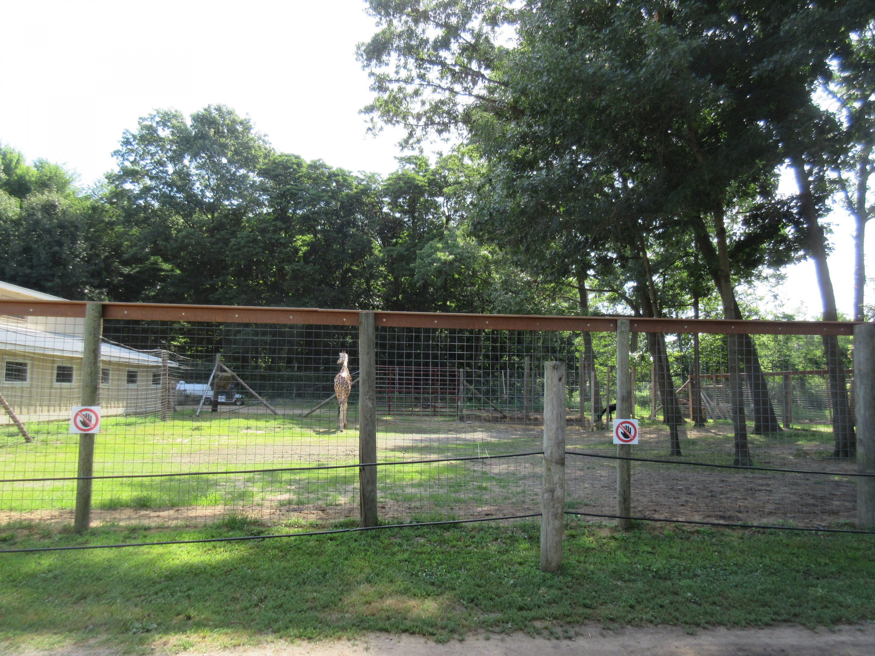 Reticulated Giraffe/Alpaca Exhibit