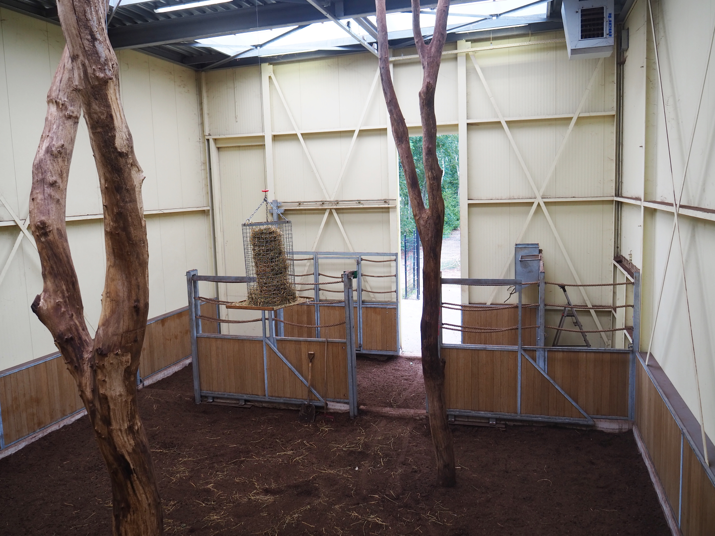 Reticulated giraffe barn, 2019-08-11