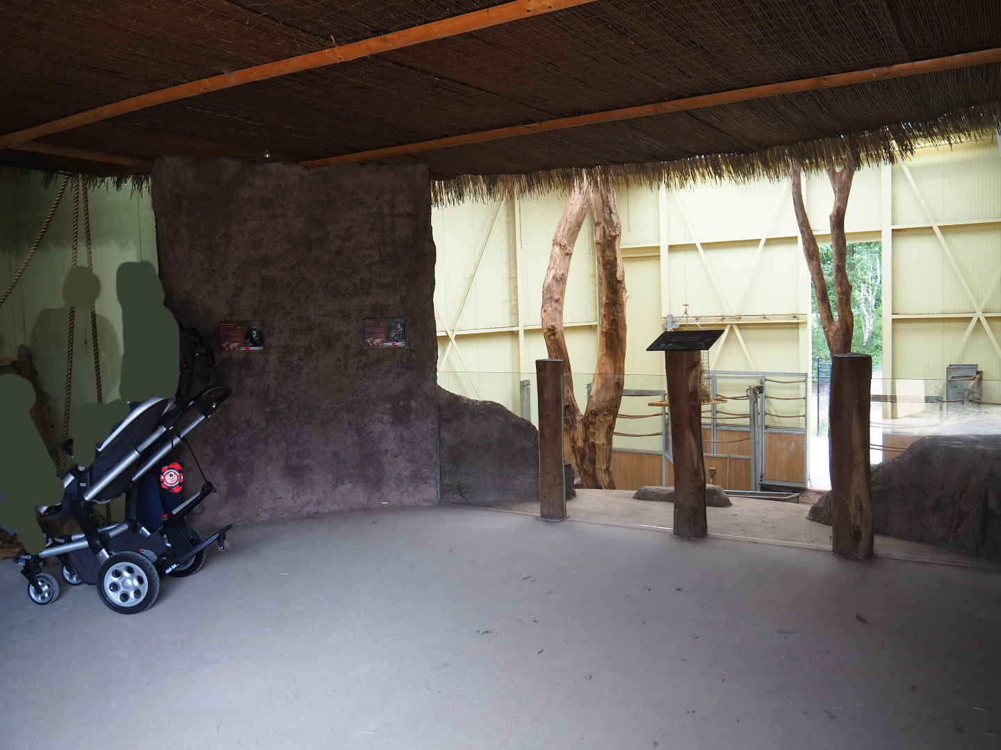 Reticulated giraffe barn and DeBrazza's guenon indoor housing viewing area, 2019-08-11