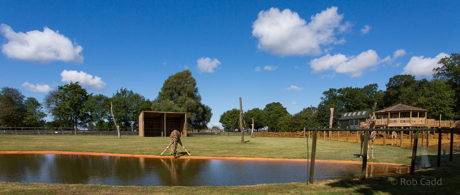 Reticulated giraffe enclosure : Whipsnade : 03 Aug 2014