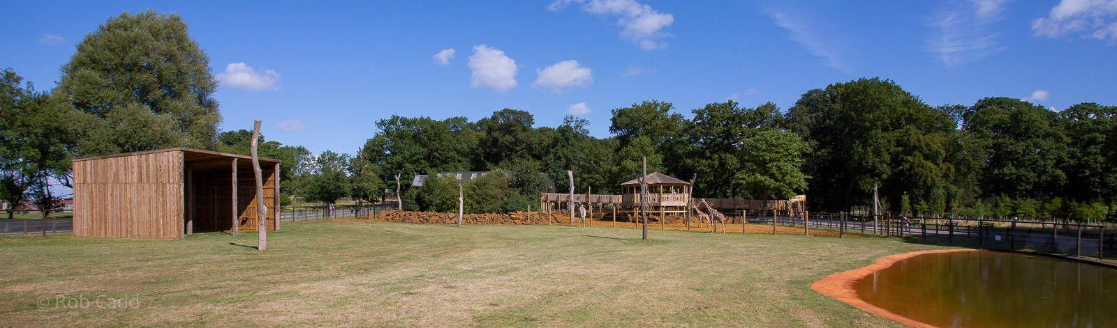 Reticulated giraffe enclosure : Whipsnade : 03 Aug 2014