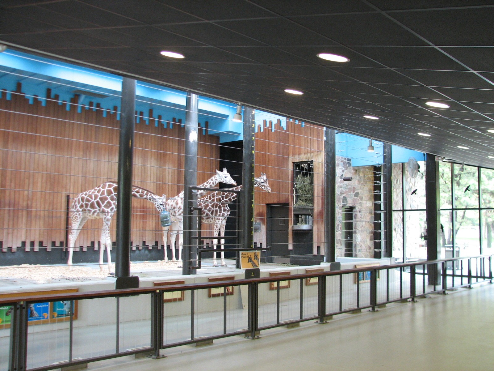Reticulated Giraffe Exhibit - Barn Interior