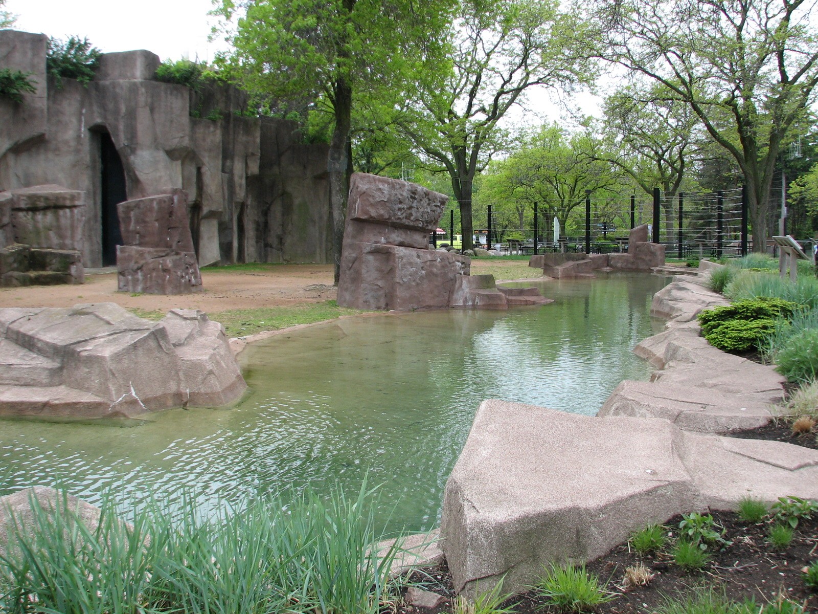 Reticulated Giraffe Exhibit - Outdoor Yard
