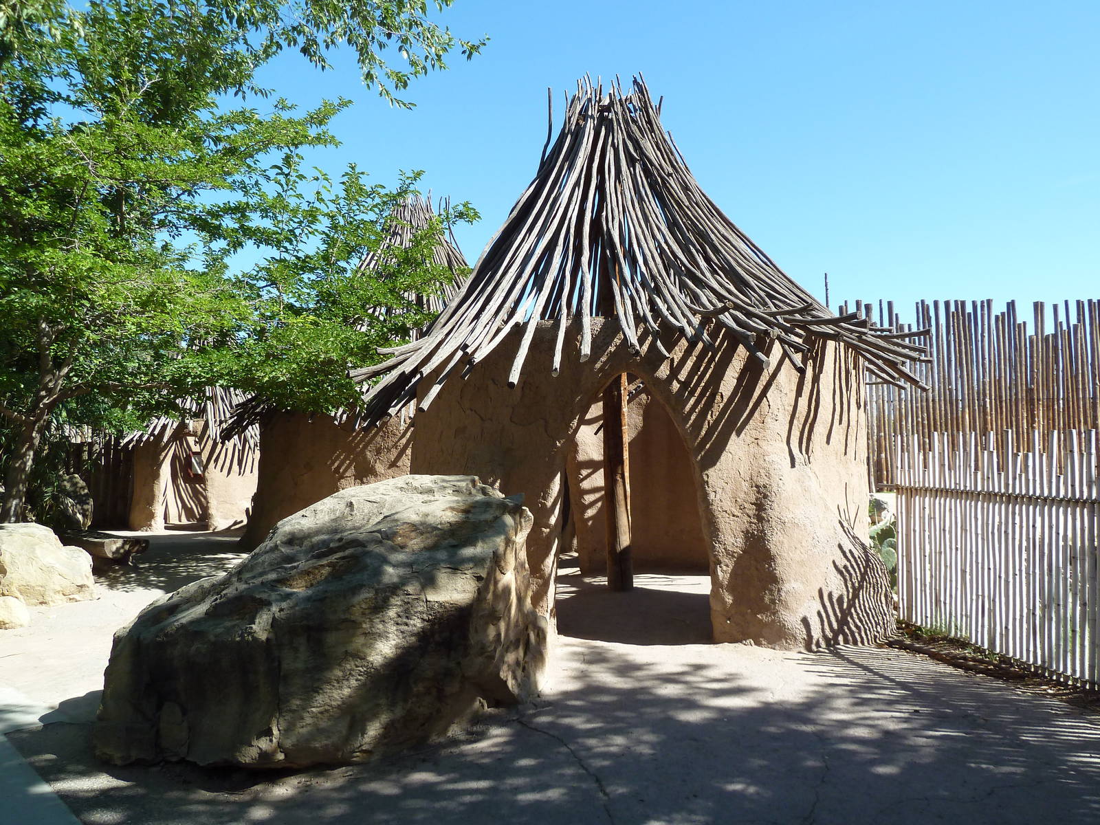 Reticulated Giraffe Exhibit - Viewing Area
