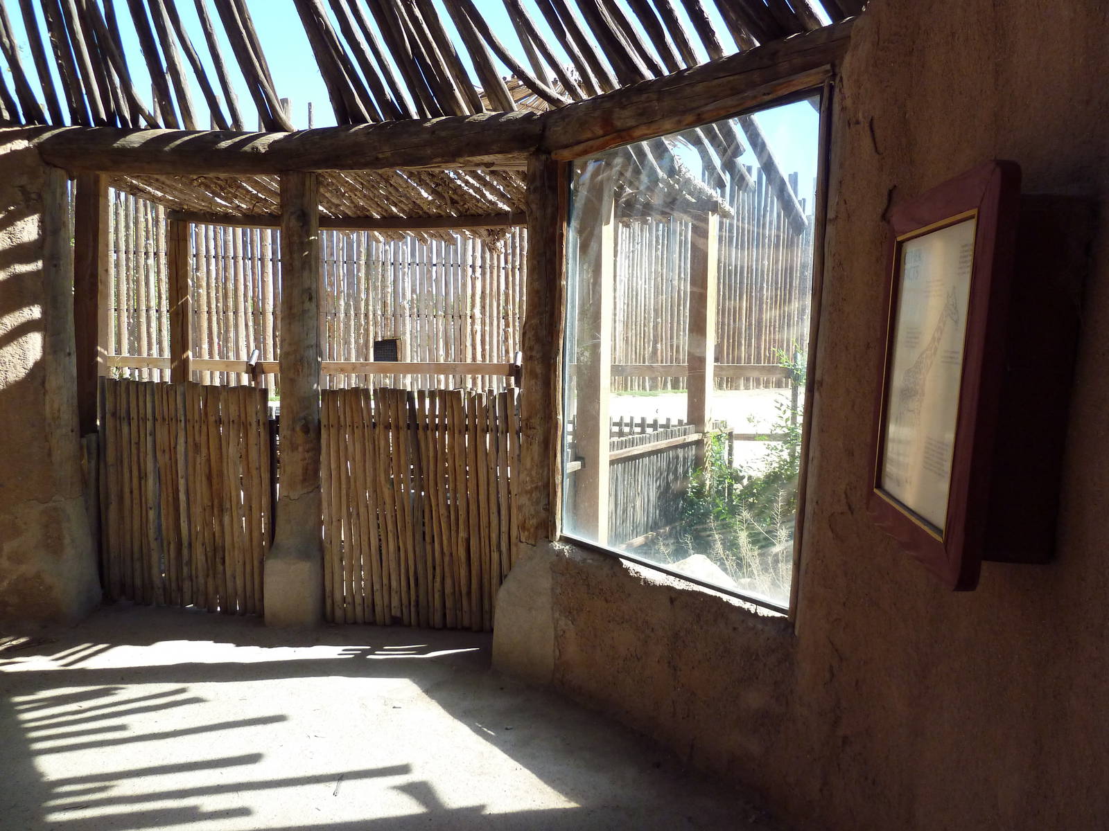 Reticulated Giraffe Exhibit - Viewing Area