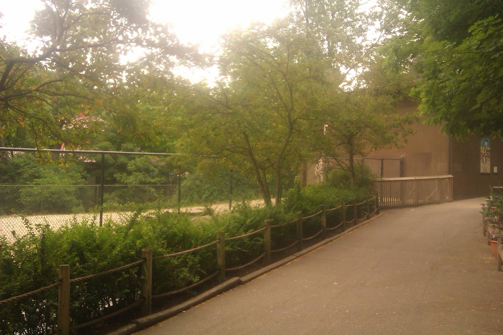 Reticulated  Giraffe Exhibit