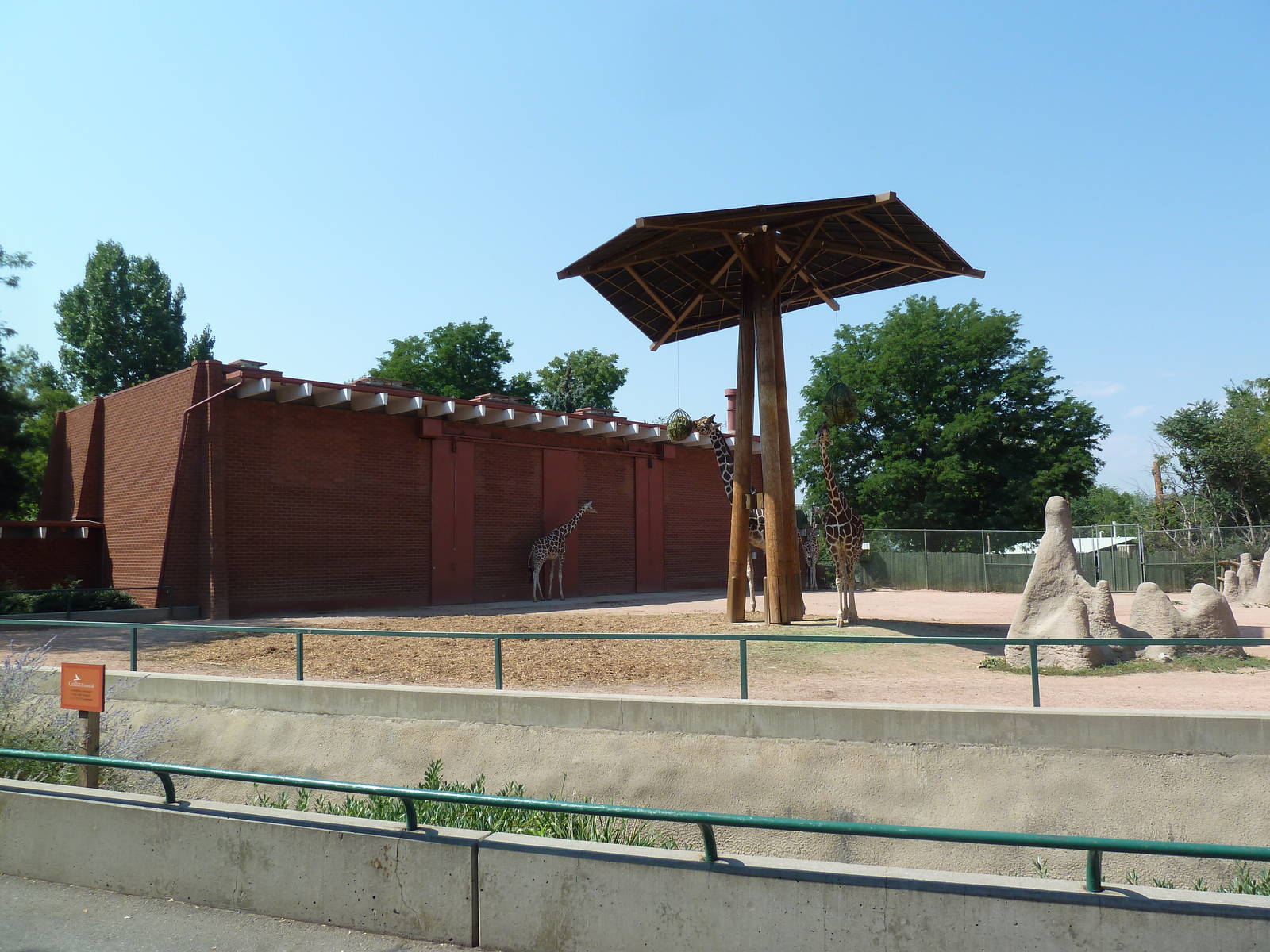 Reticulated Giraffe Exhibit