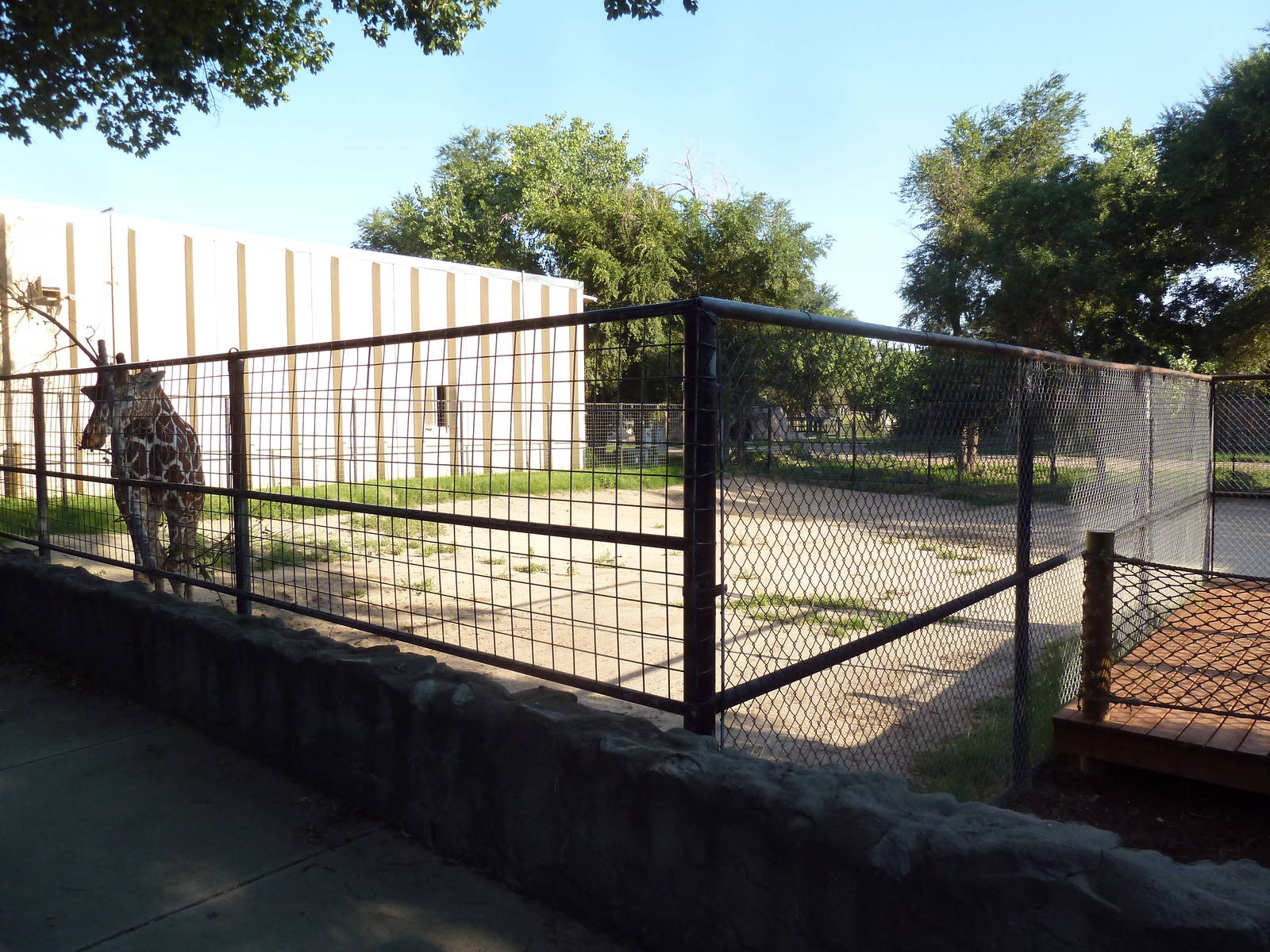 Reticulated Giraffe Exhibit
