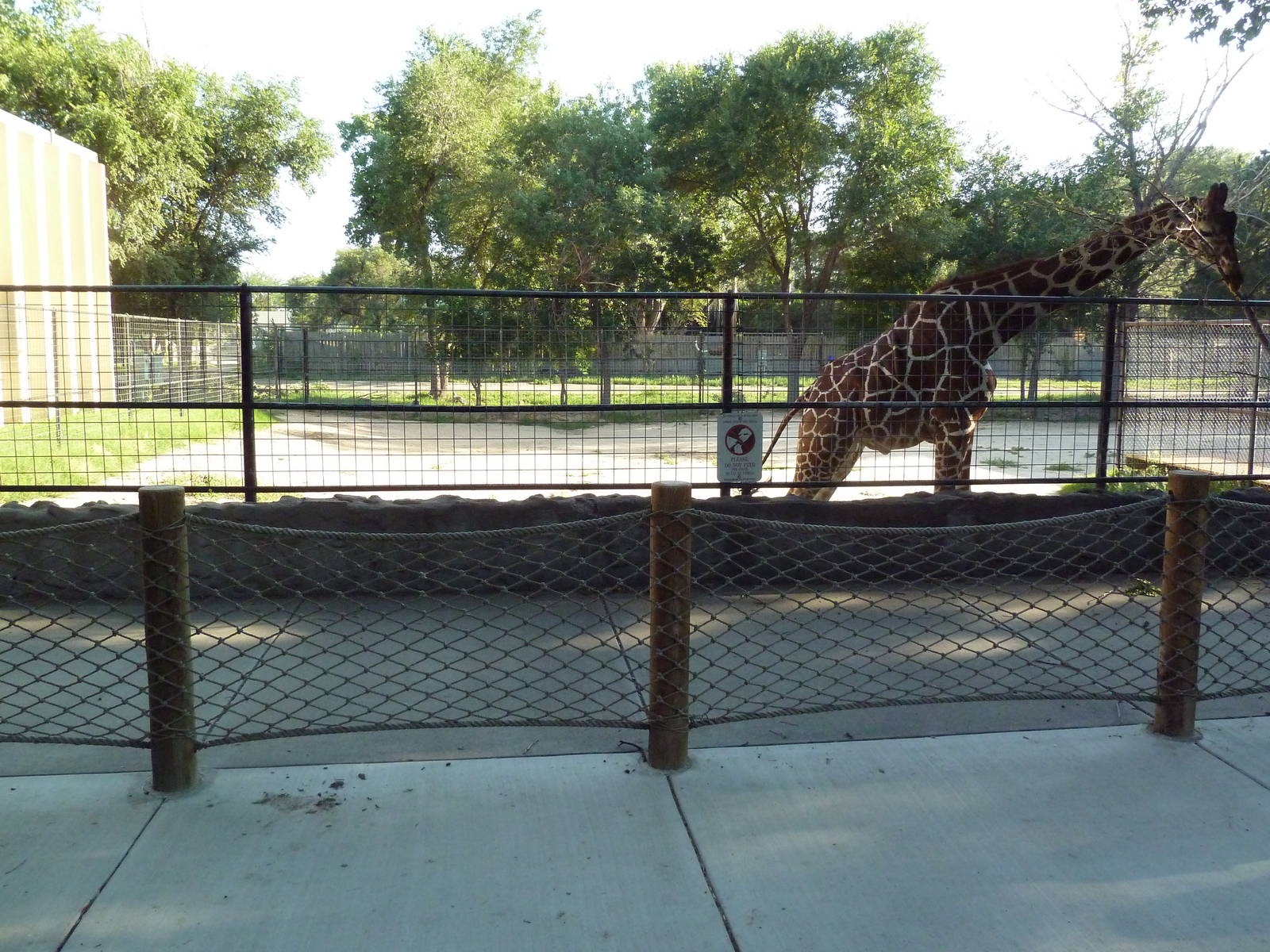 Reticulated Giraffe Exhibit