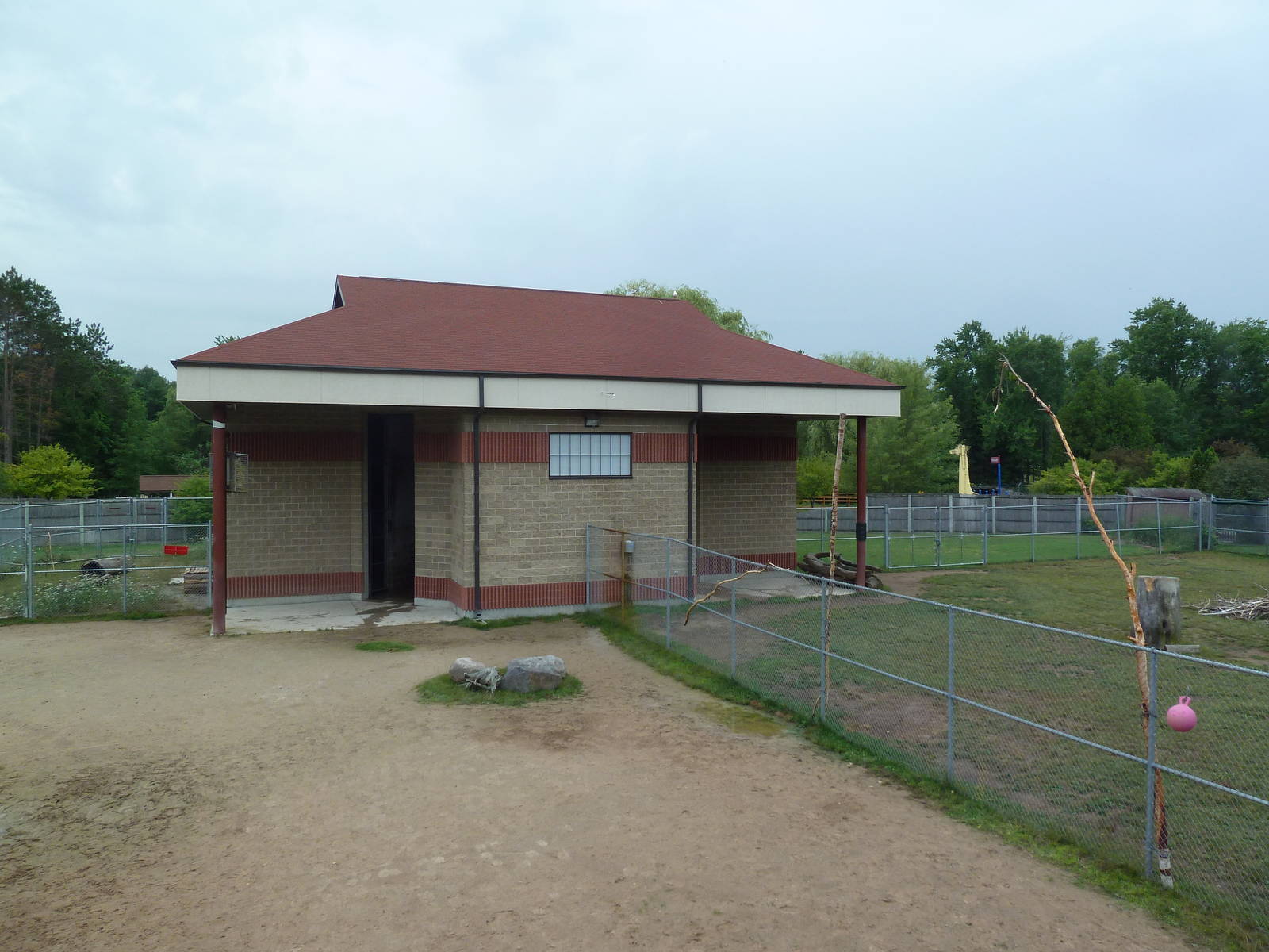 Reticulated Giraffe Exhibit