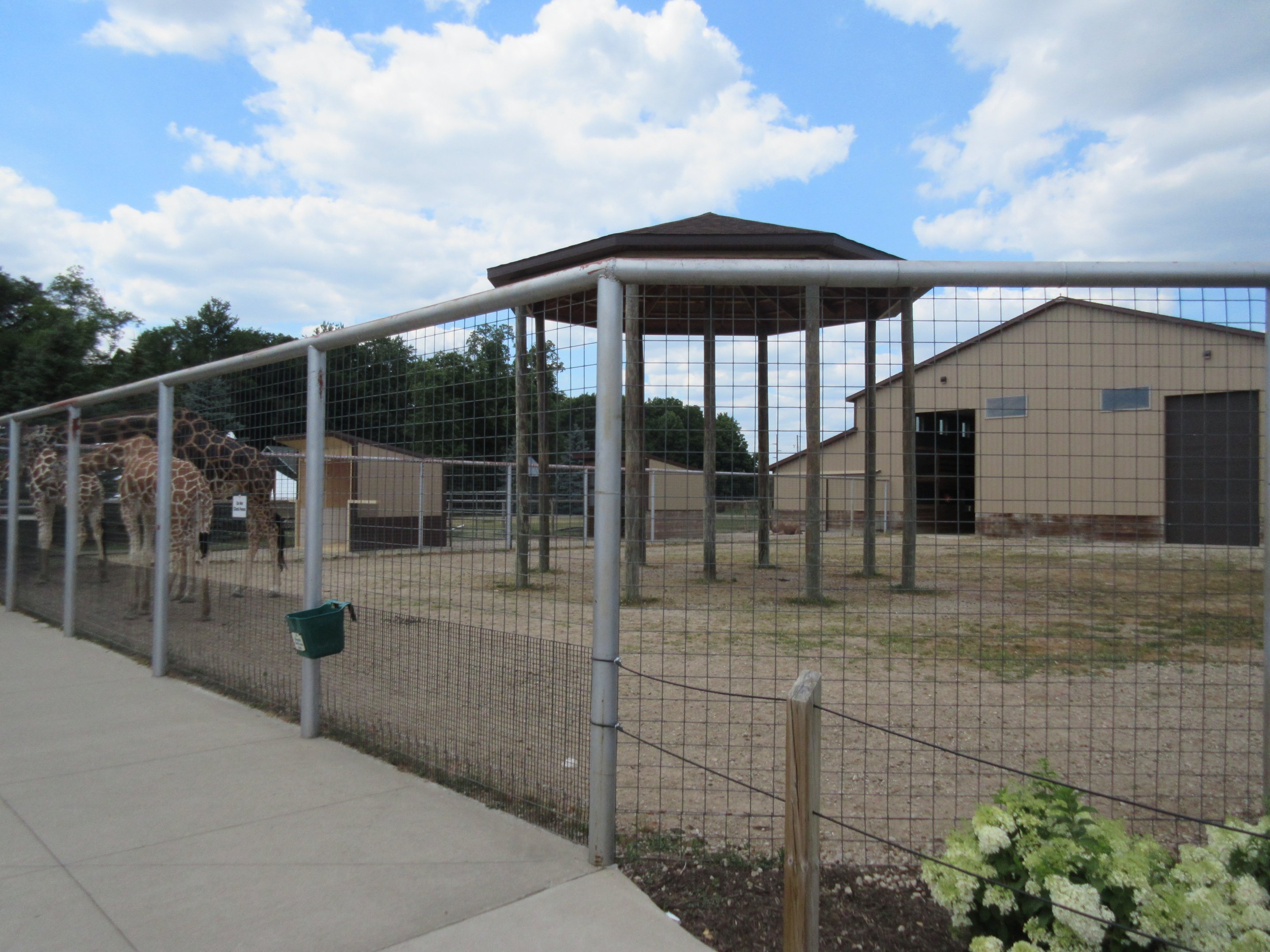 Reticulated Giraffe Exhibit