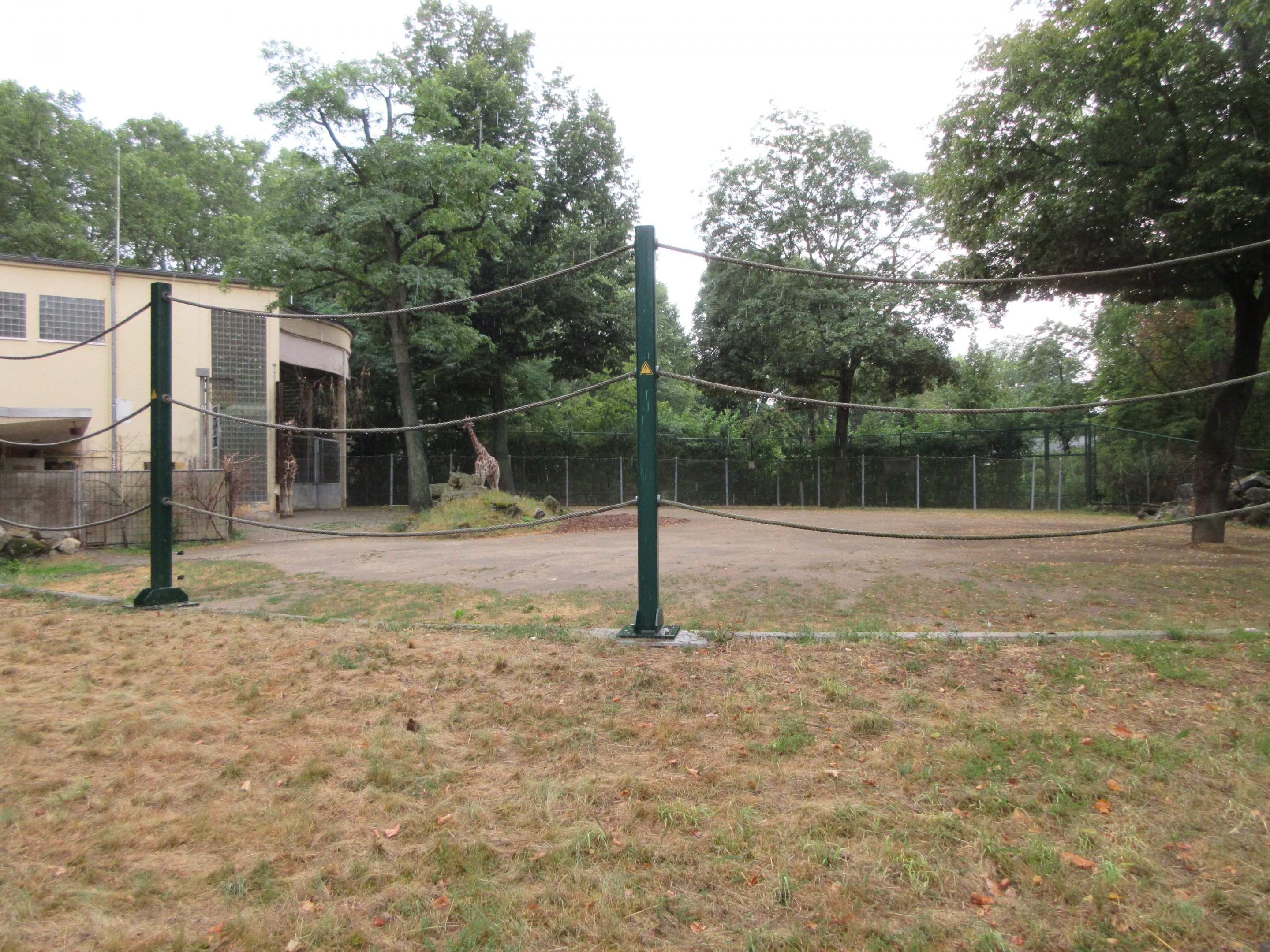 Reticulated Giraffe Exhibit