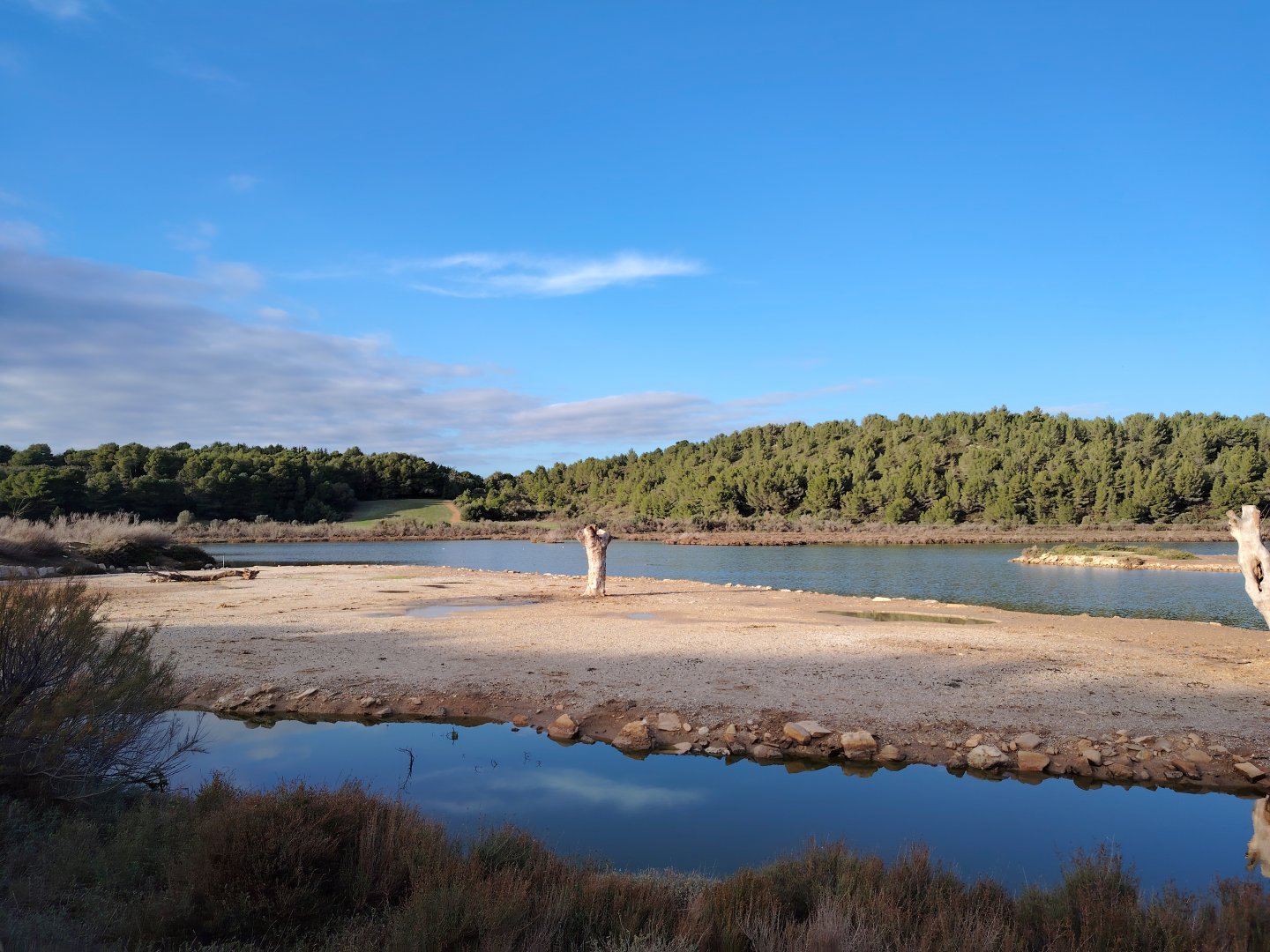 Reticulated Giraffe Exhibit