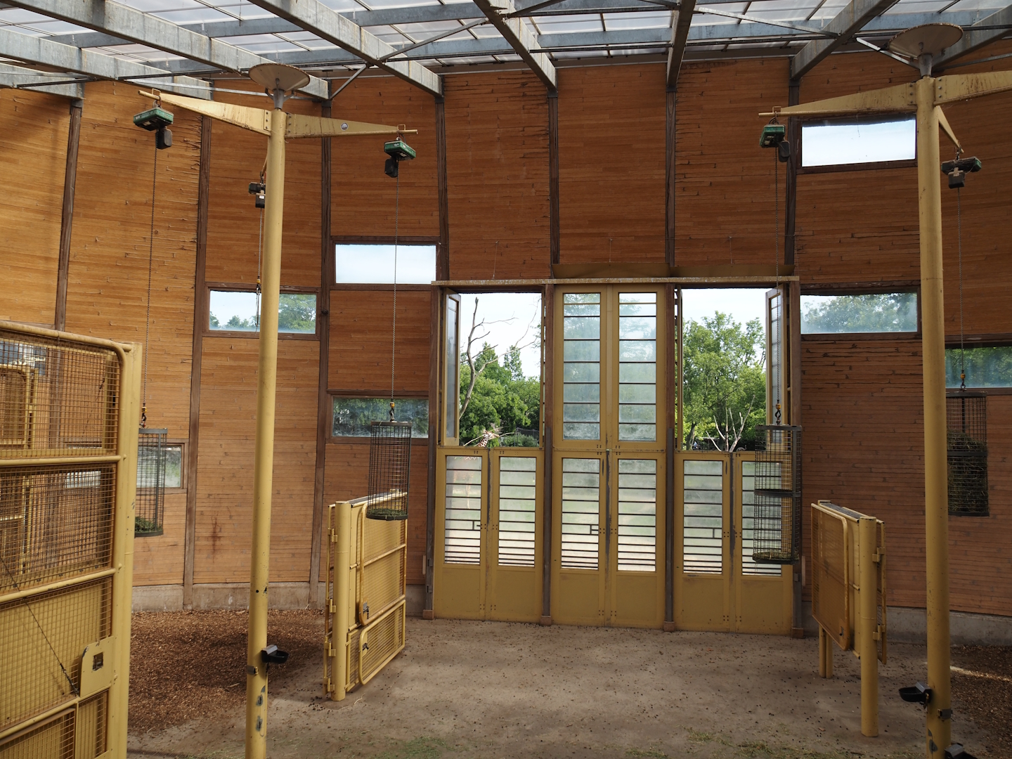 Reticulated giraffe house, 2024-06-30