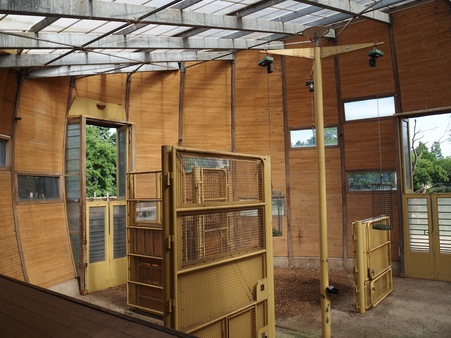 Reticulated giraffe house, 2024-06-30