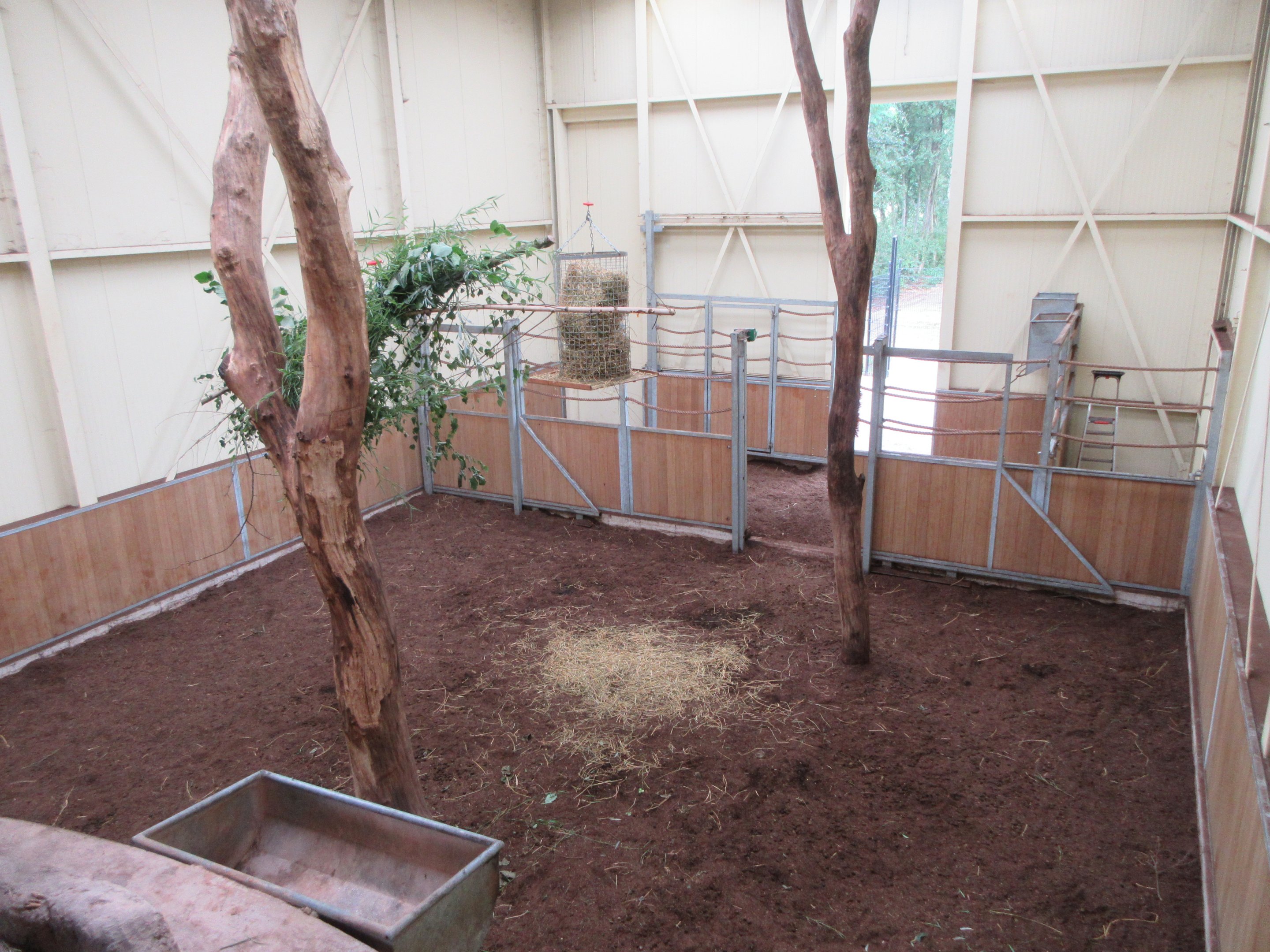 Reticulated Giraffe House