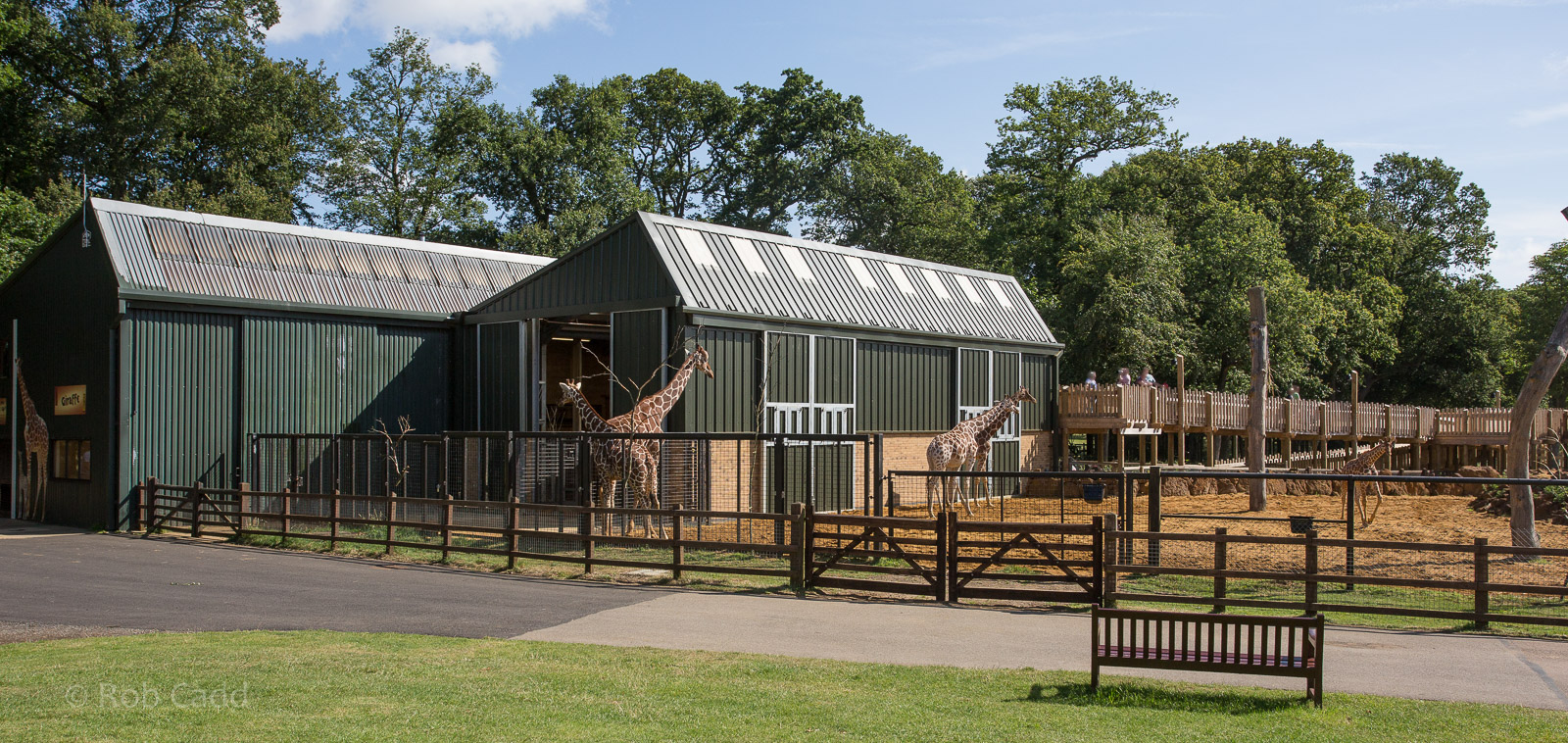 Reticulated giraffe housing : Whipsnade : 03 Aug 2014