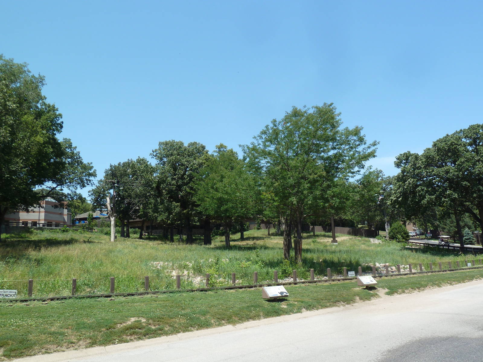 Reticulated Giraffe/Ostrich/Black-Footed Penguin Exhibit