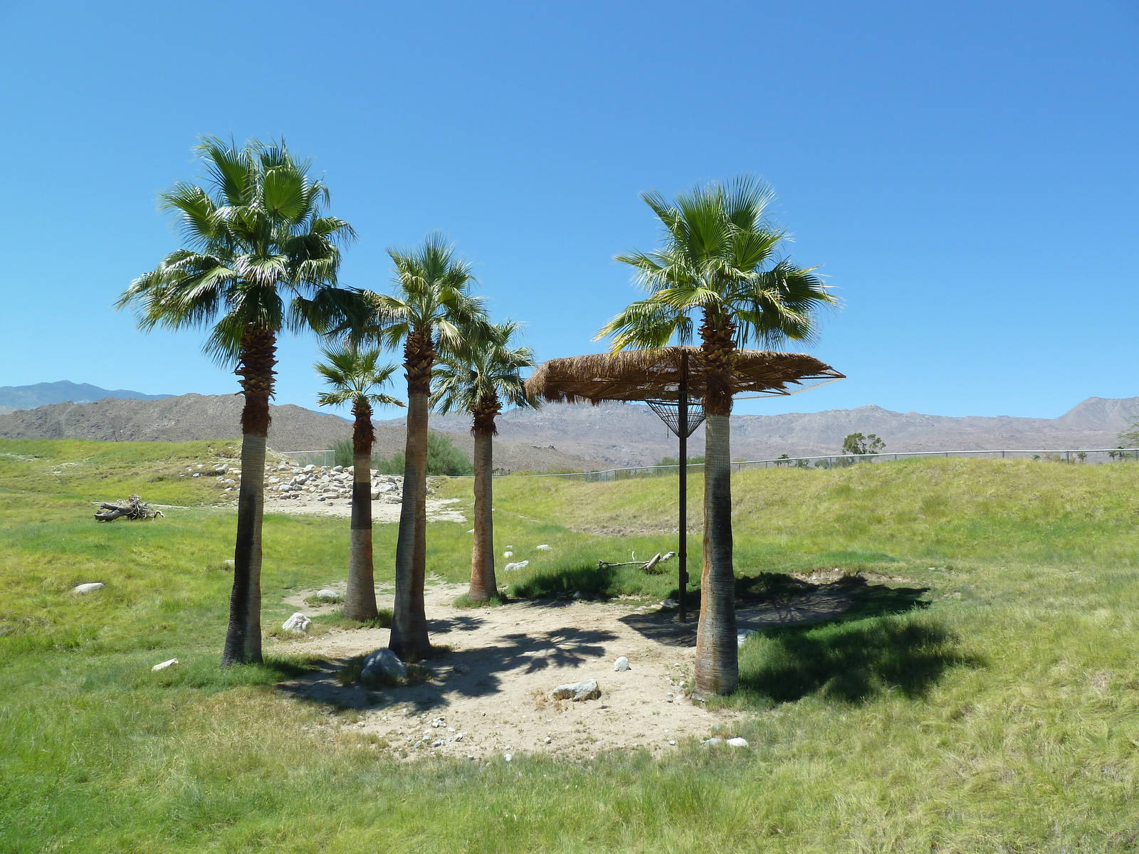 Reticulated Giraffe/Ostrich Exhibit