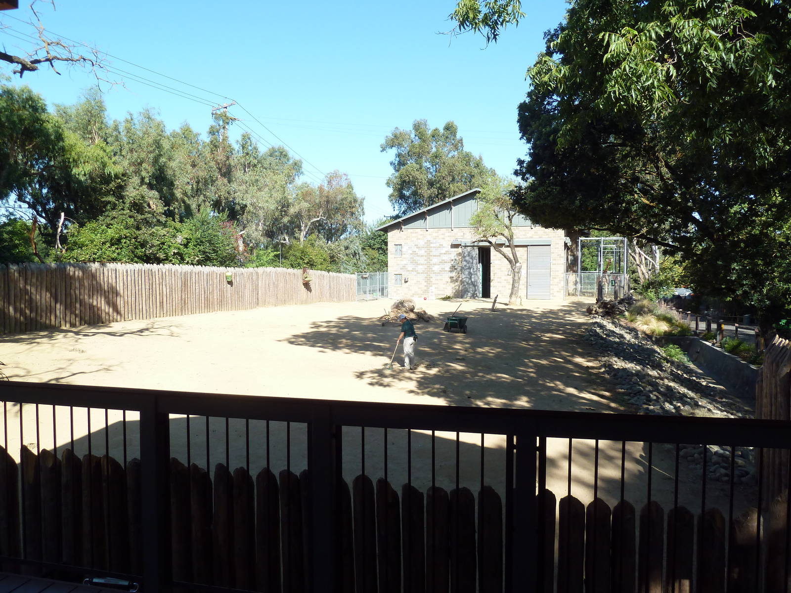 Reticulated + Masai Giraffe Exhibit