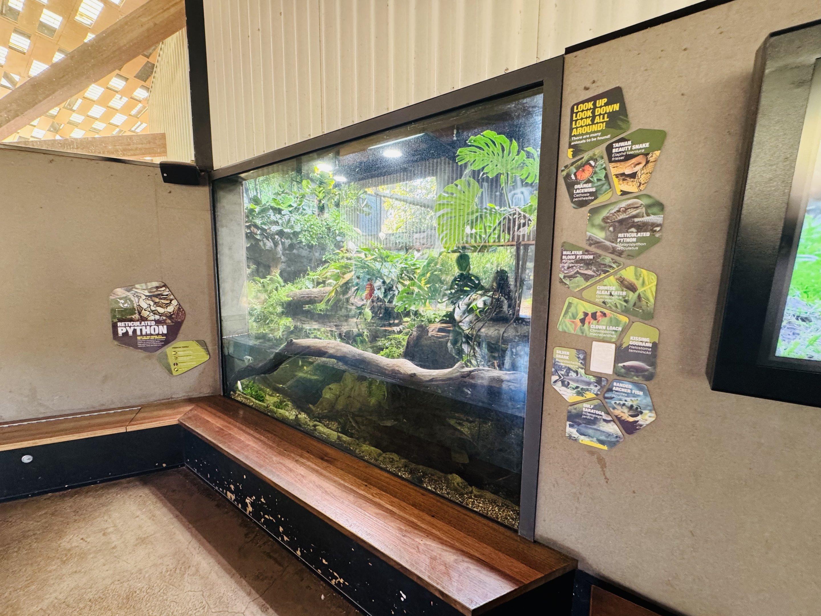 Reticulated Python/Blood Python/tropical fish enclosure