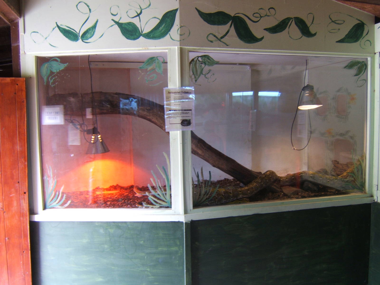 Reticulated Python enclosure