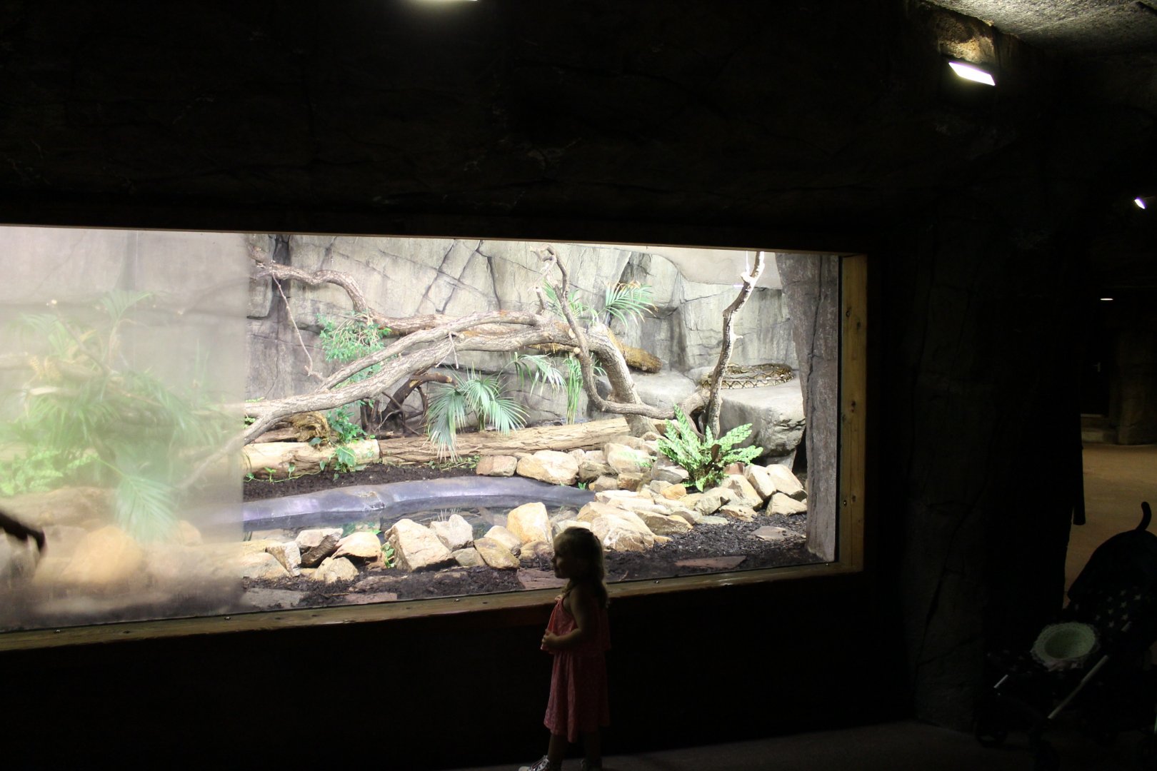 Reticulated python Enclosure