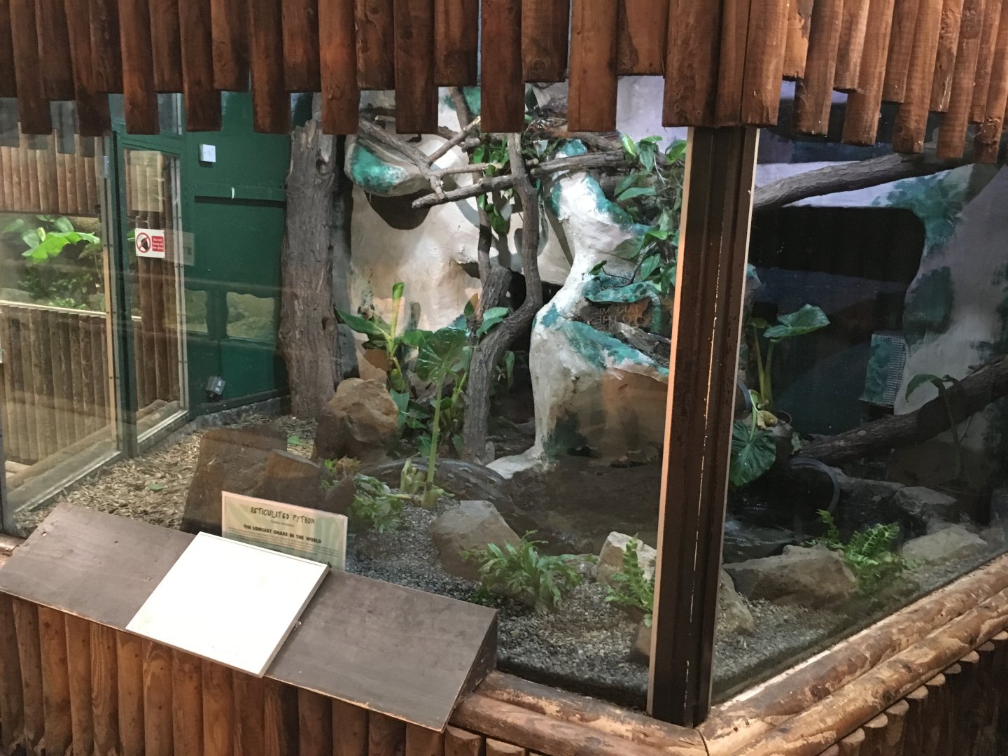Reticulated python exhibit 040817