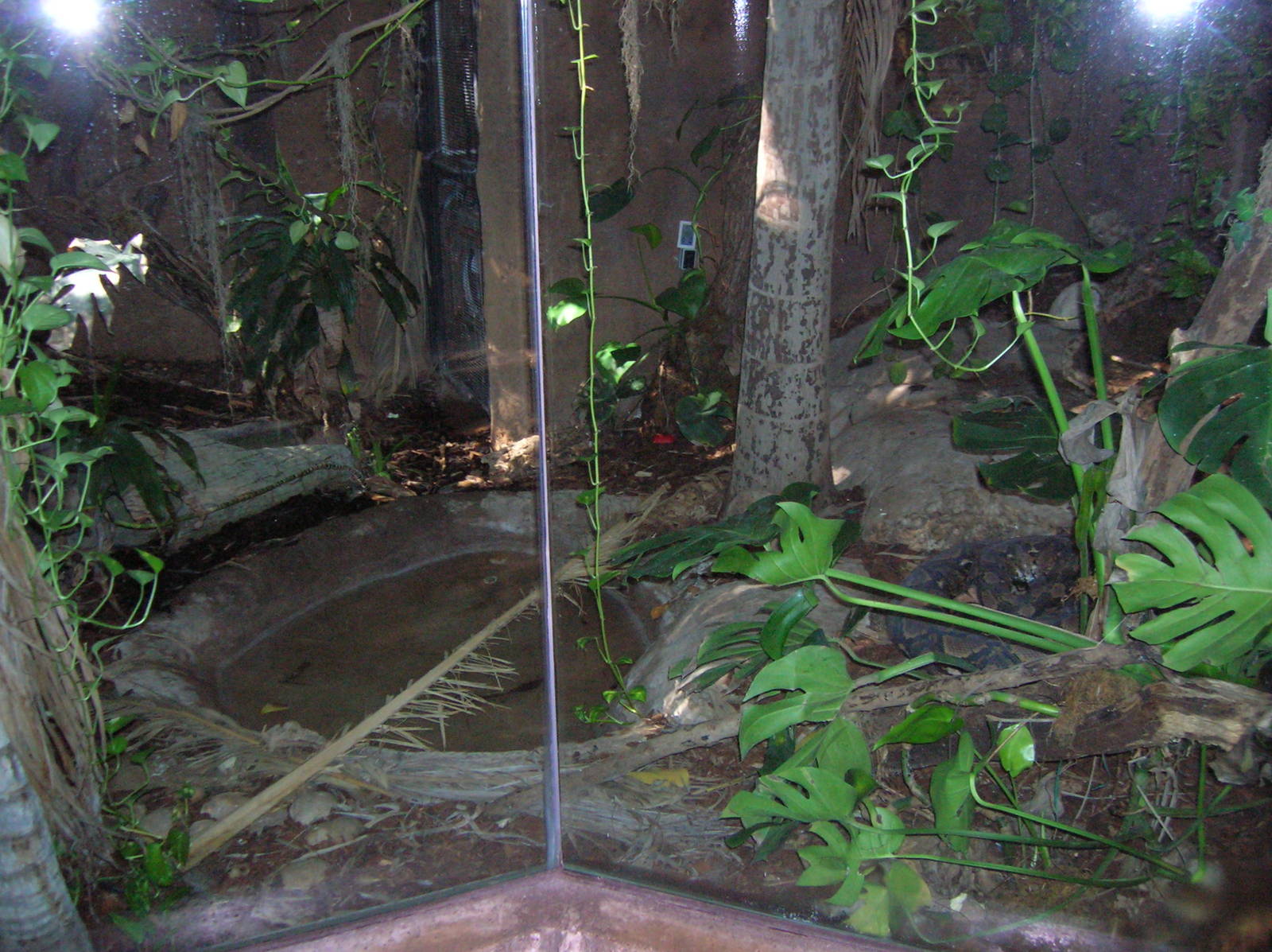 Reticulated Python Exhibit 1-12-09