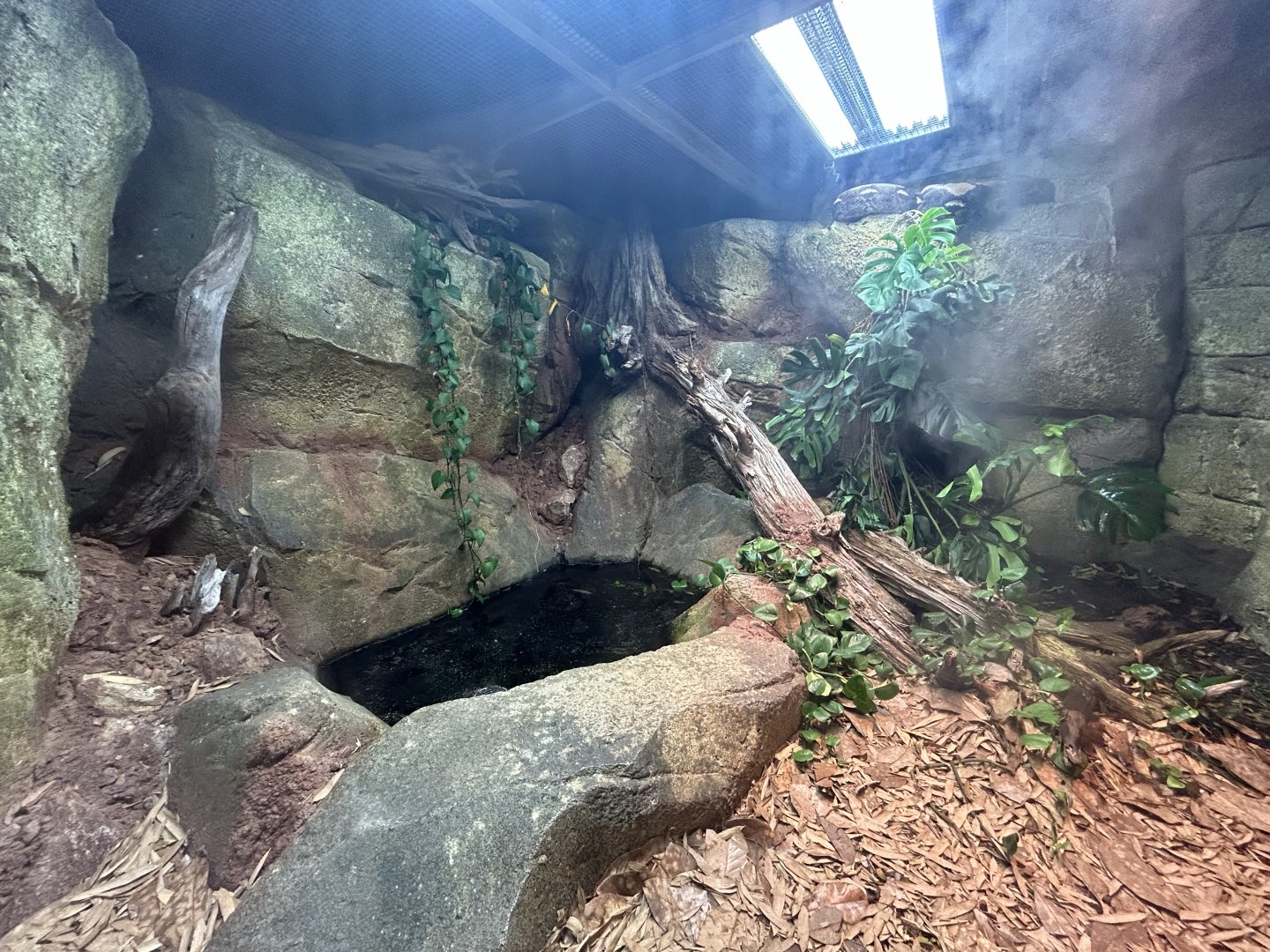 Reticulated Python Exhibit - ARC