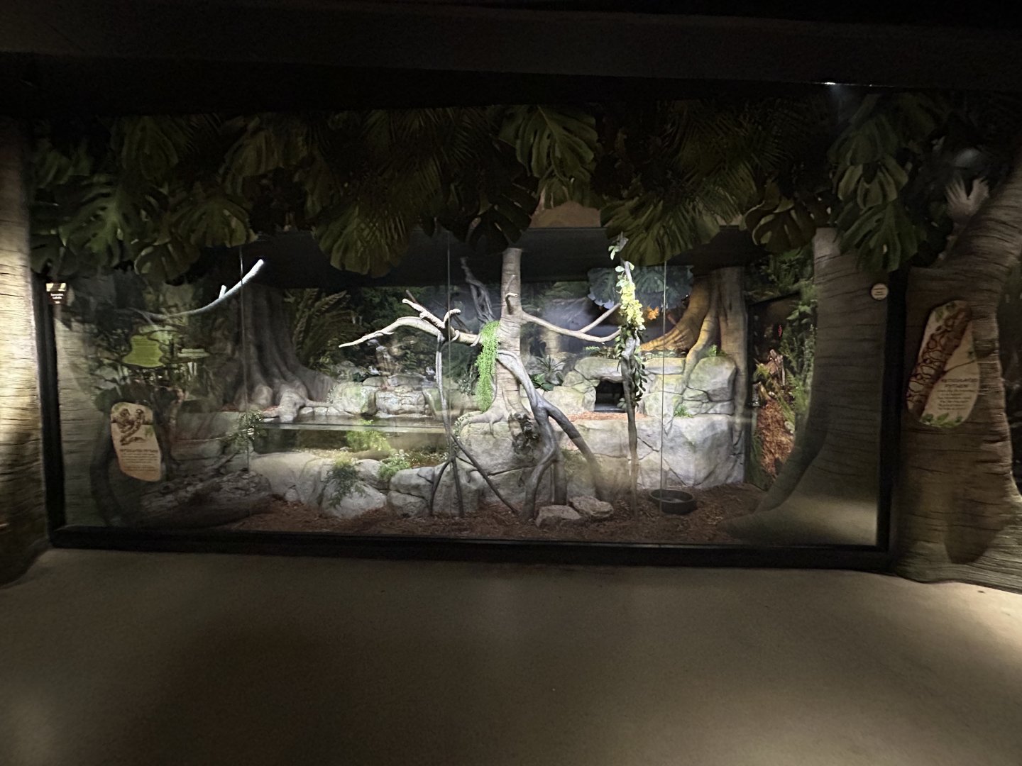 Reticulated Python Exhibit - Asian Trek