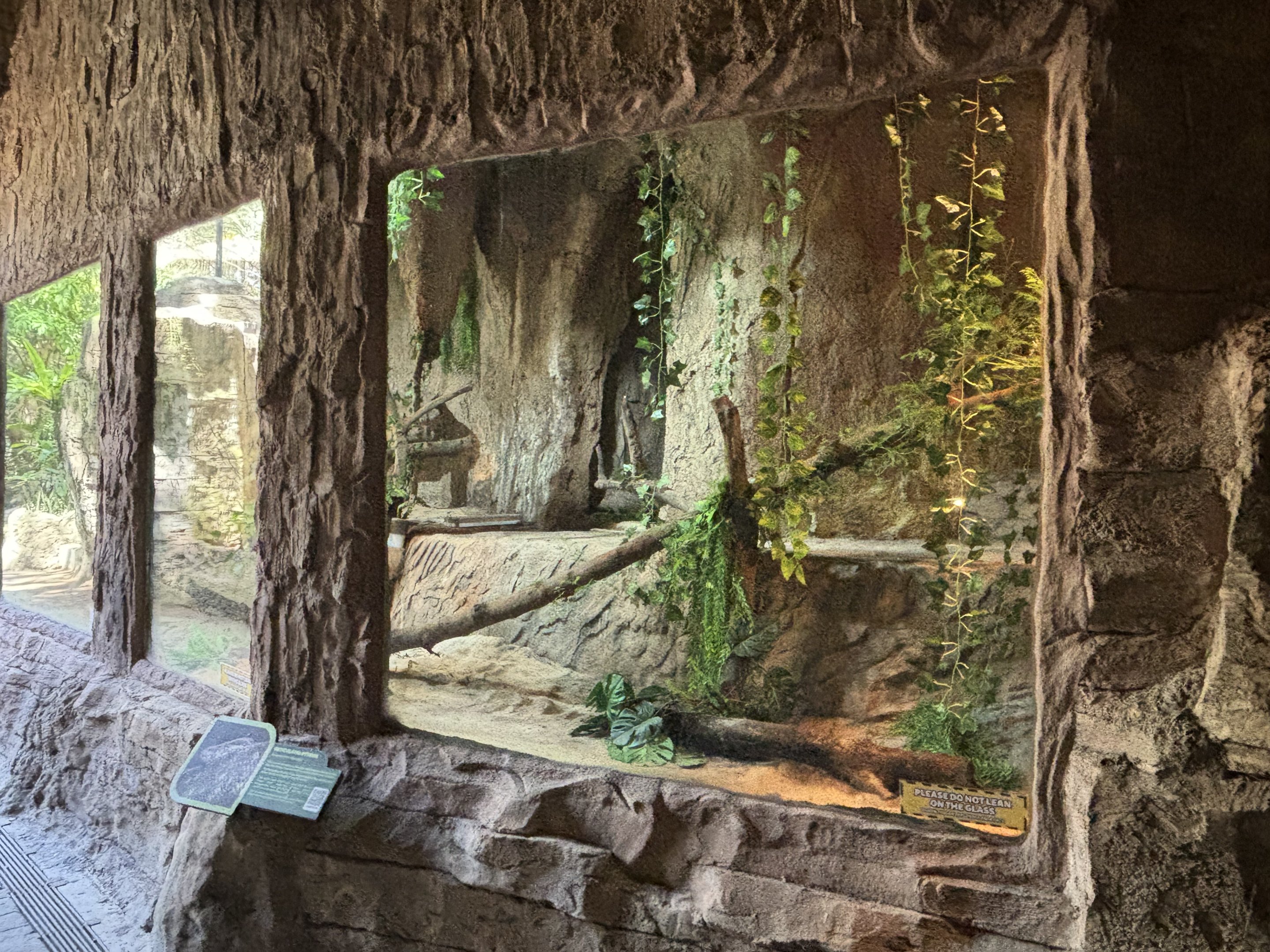 Reticulated Python Exhibit - cave trail