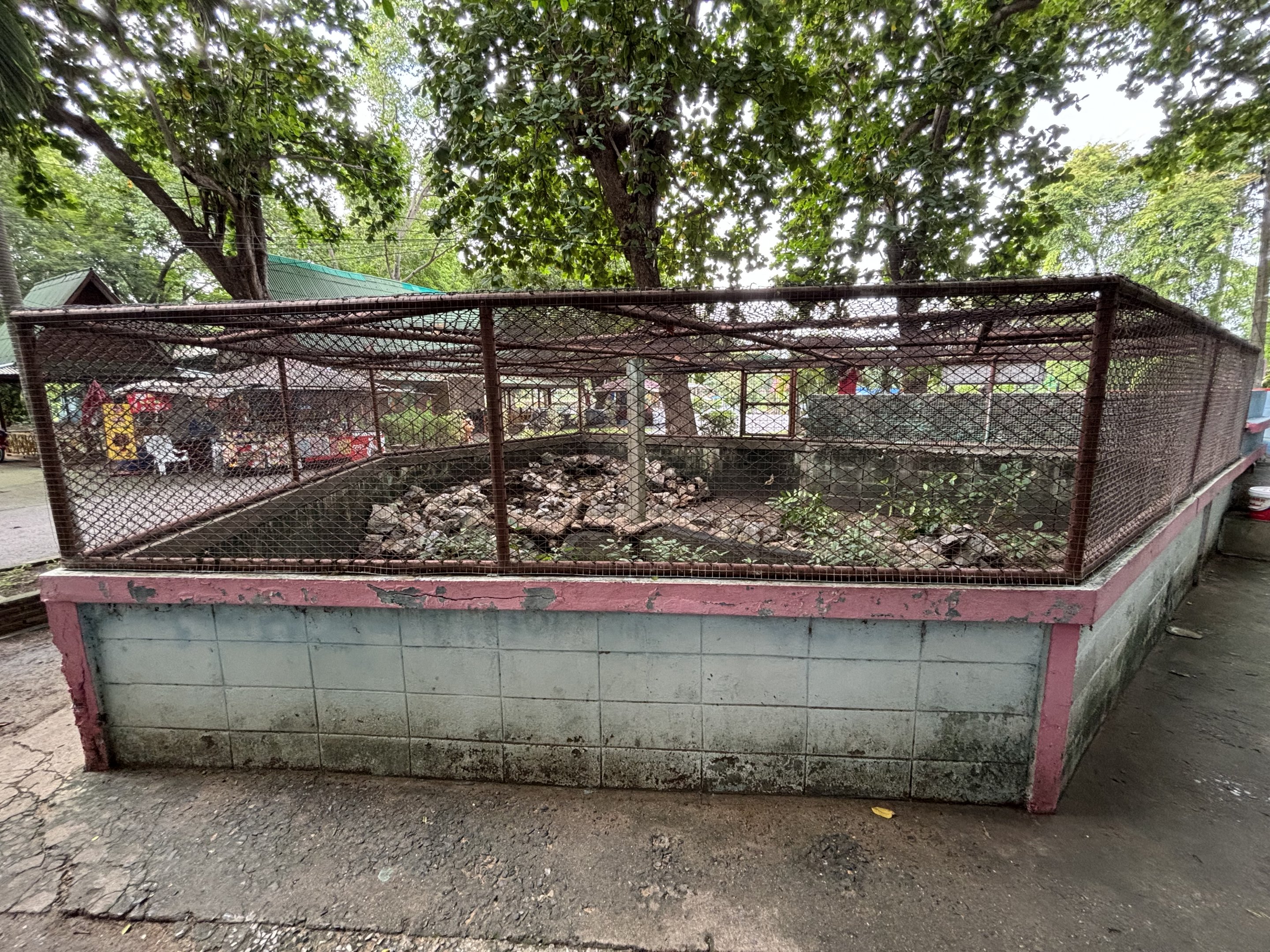 Reticulated Python Exhibit - Lopburi Zoo