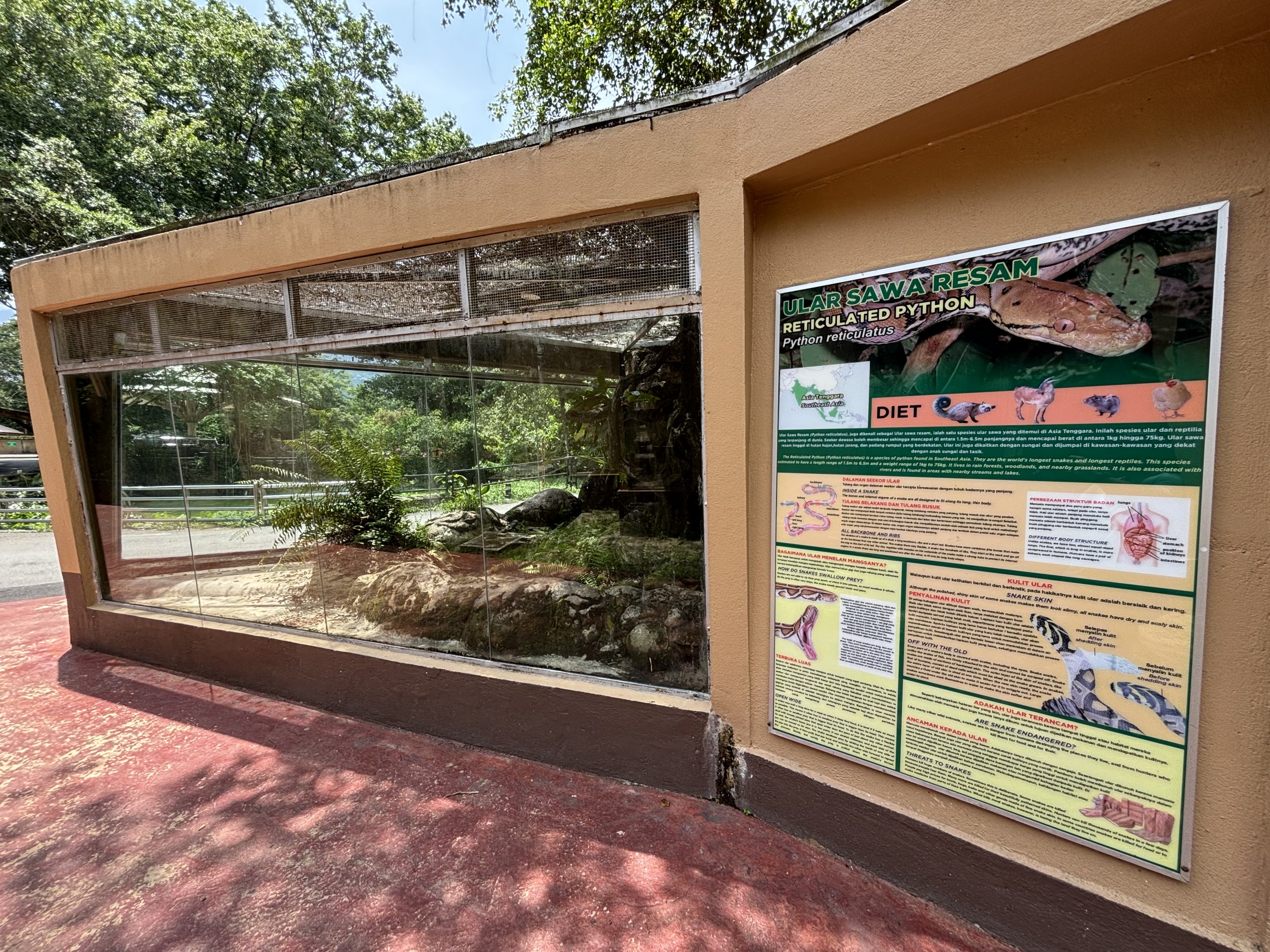 Reticulated Python Exhibit - New in 2024