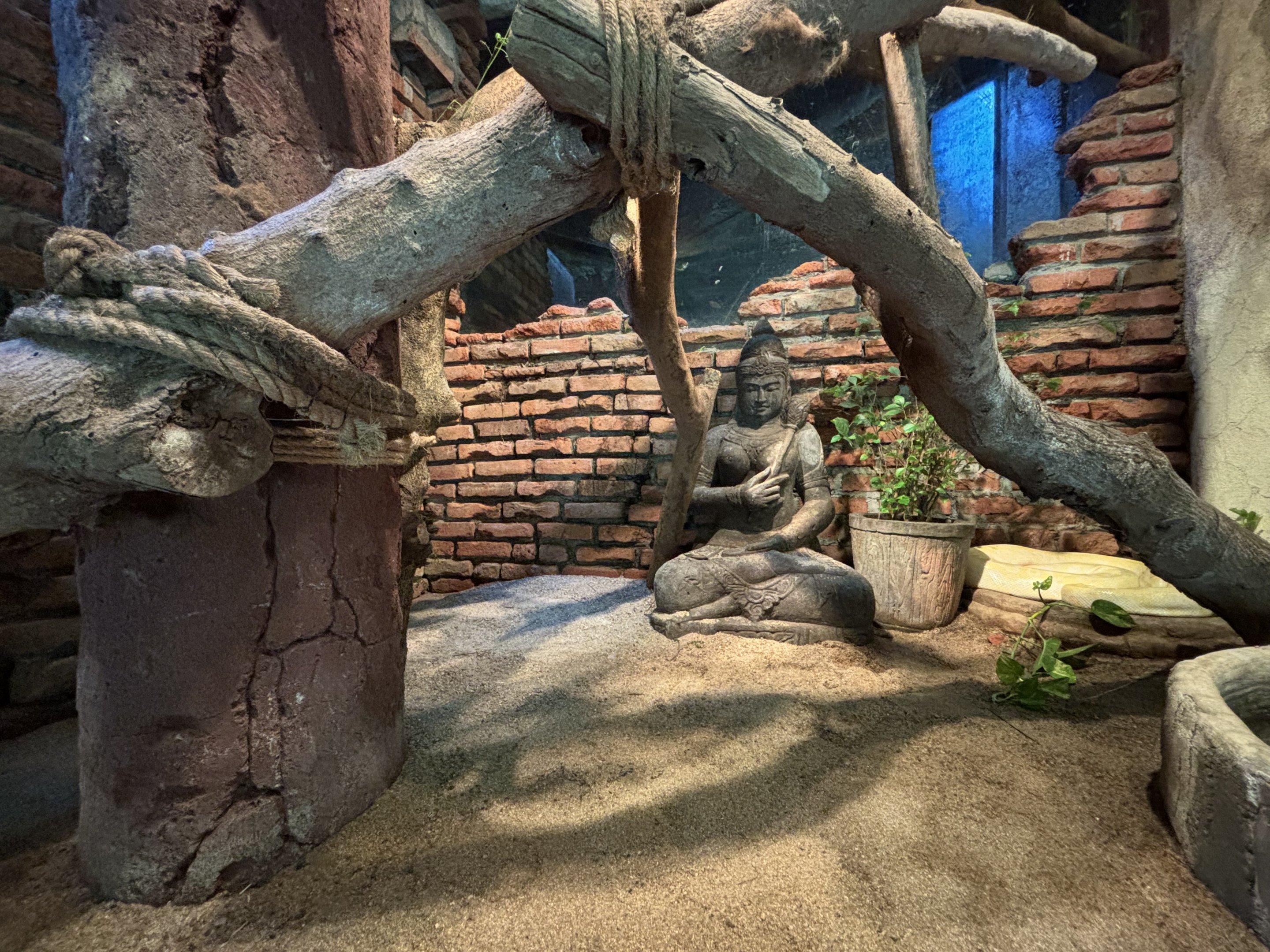 Reticulated Python Exhibit - Tiger Temple