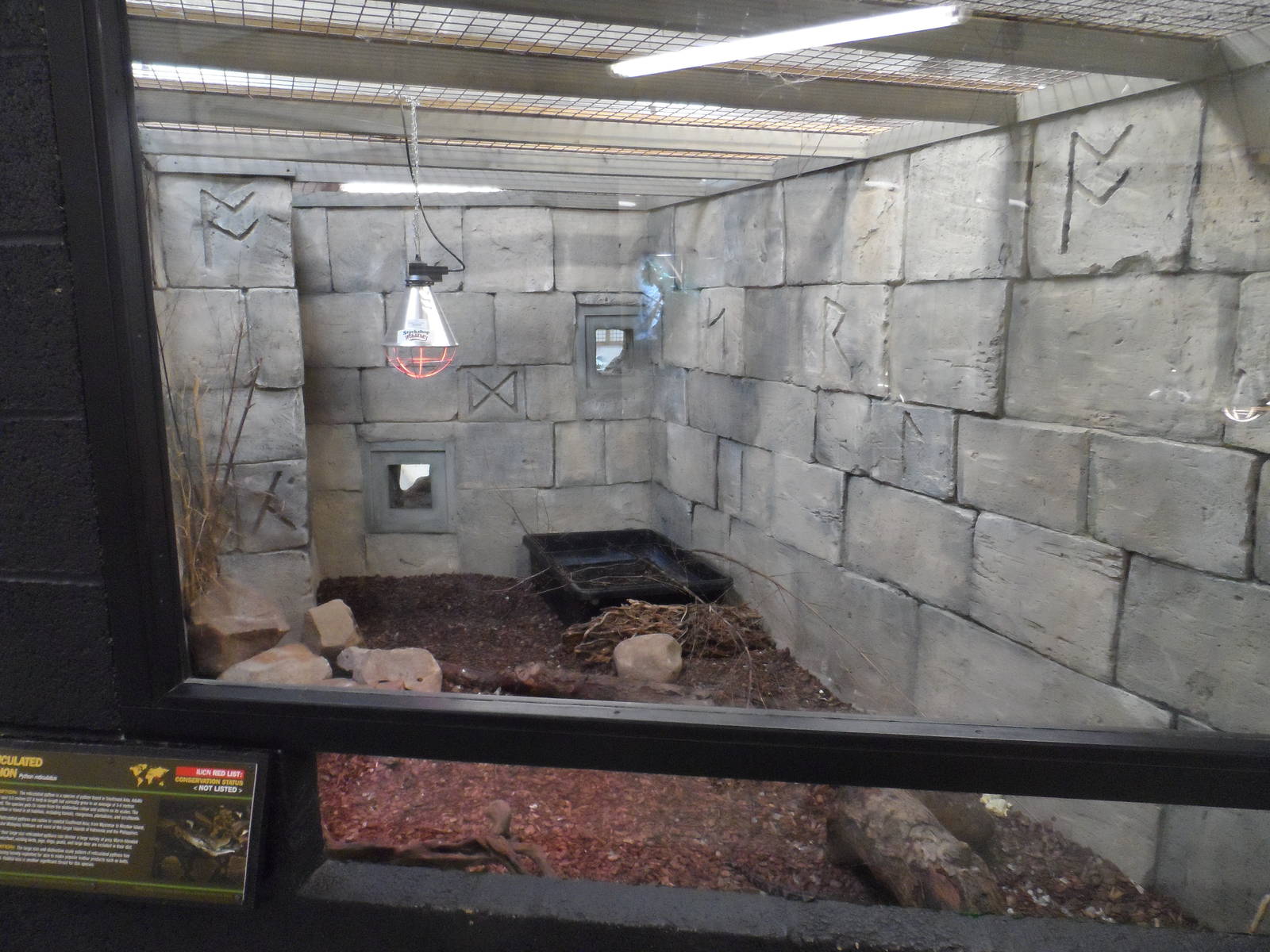 Reticulated Python Exhibit
