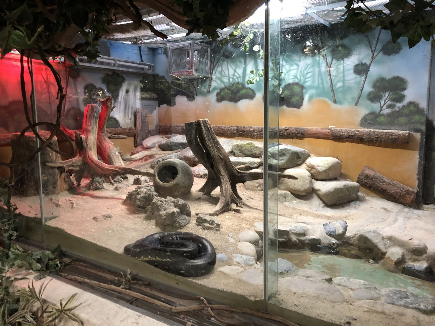 Reticulated Python Exhibit