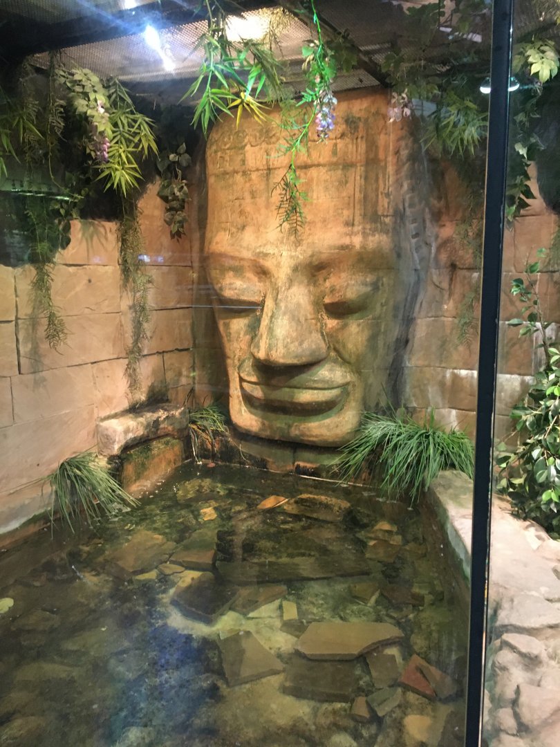 Reticulated Python exhibit