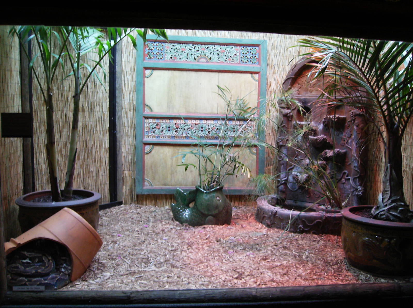 Reticulated Python exhibit