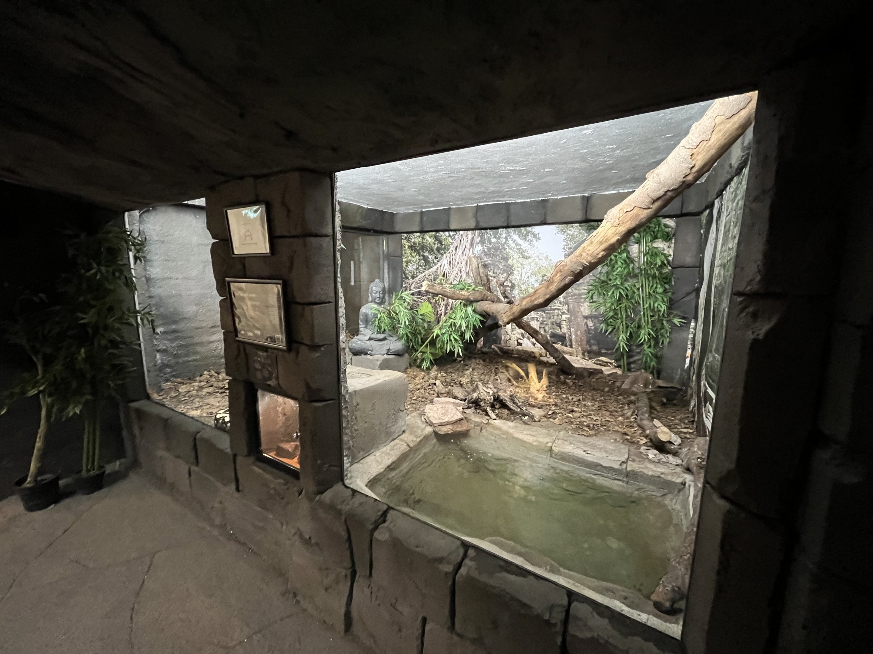 Reticulated Python Exhibit