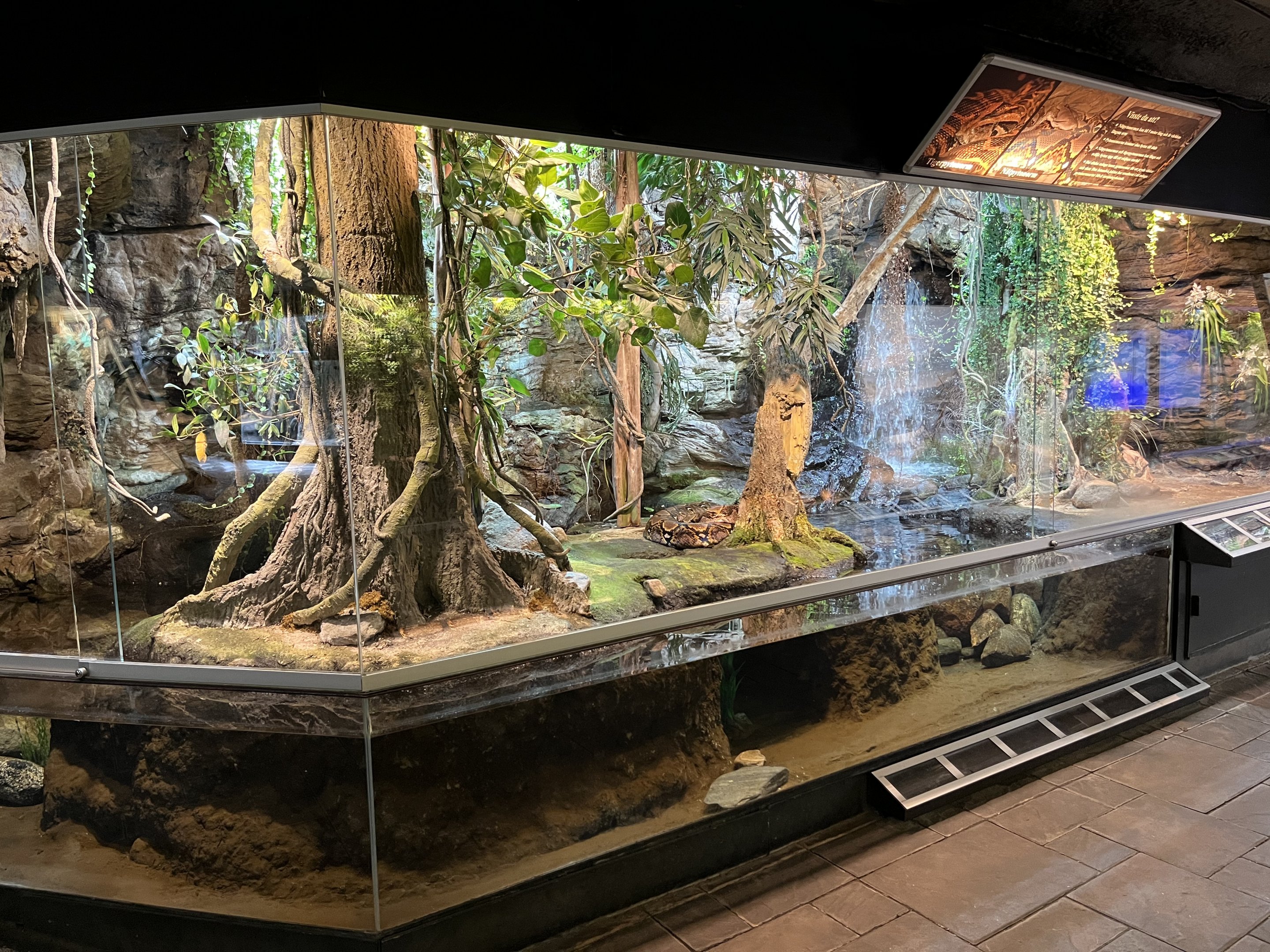 Reticulated Python Exhibit