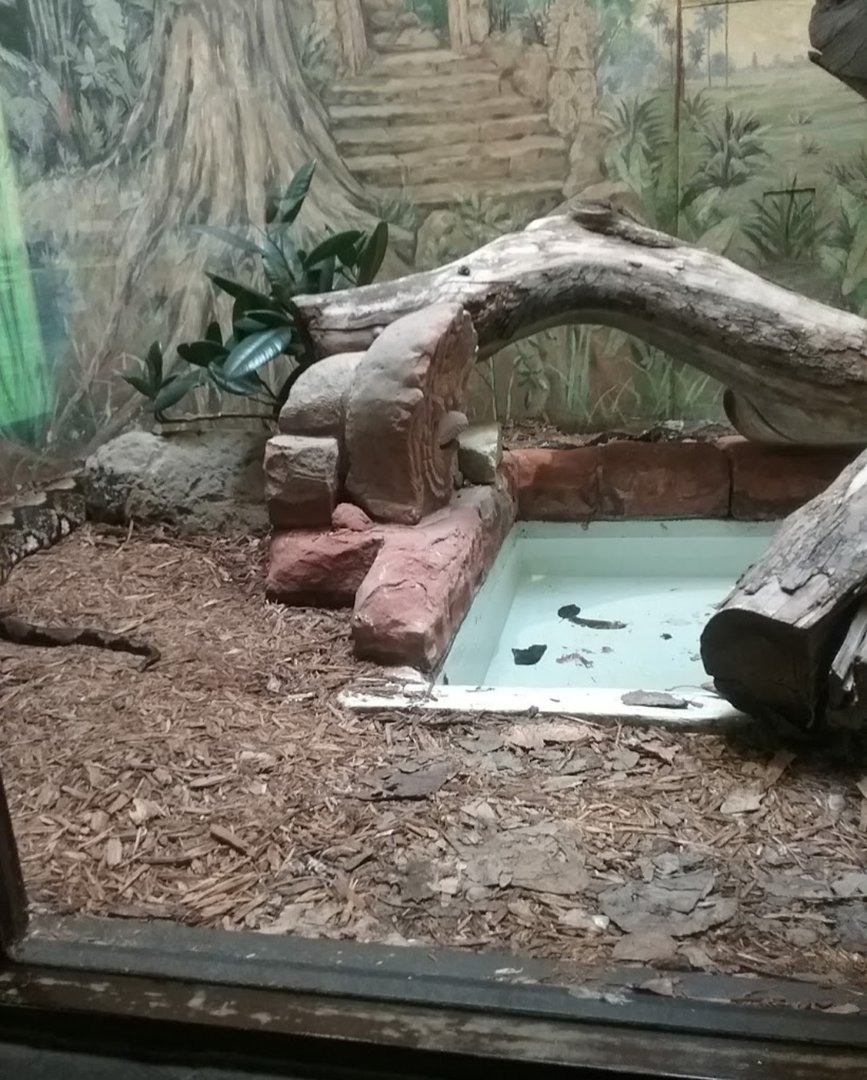 Reticulated Python Exhibit